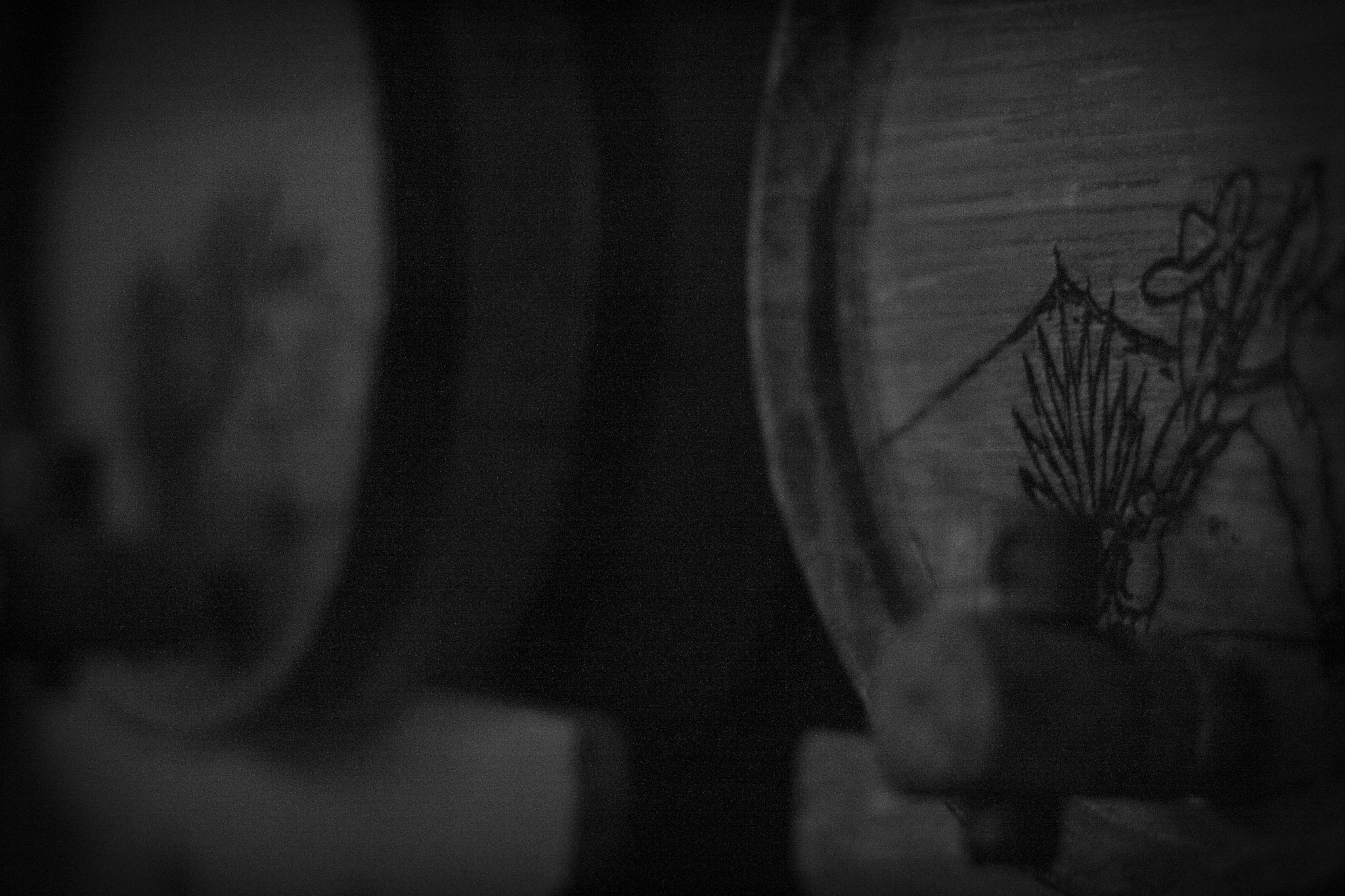 Canon EOS 400D (EOS Digital Rebel XTi / EOS Kiss Digital X) sample photo. Tequila barrel photography