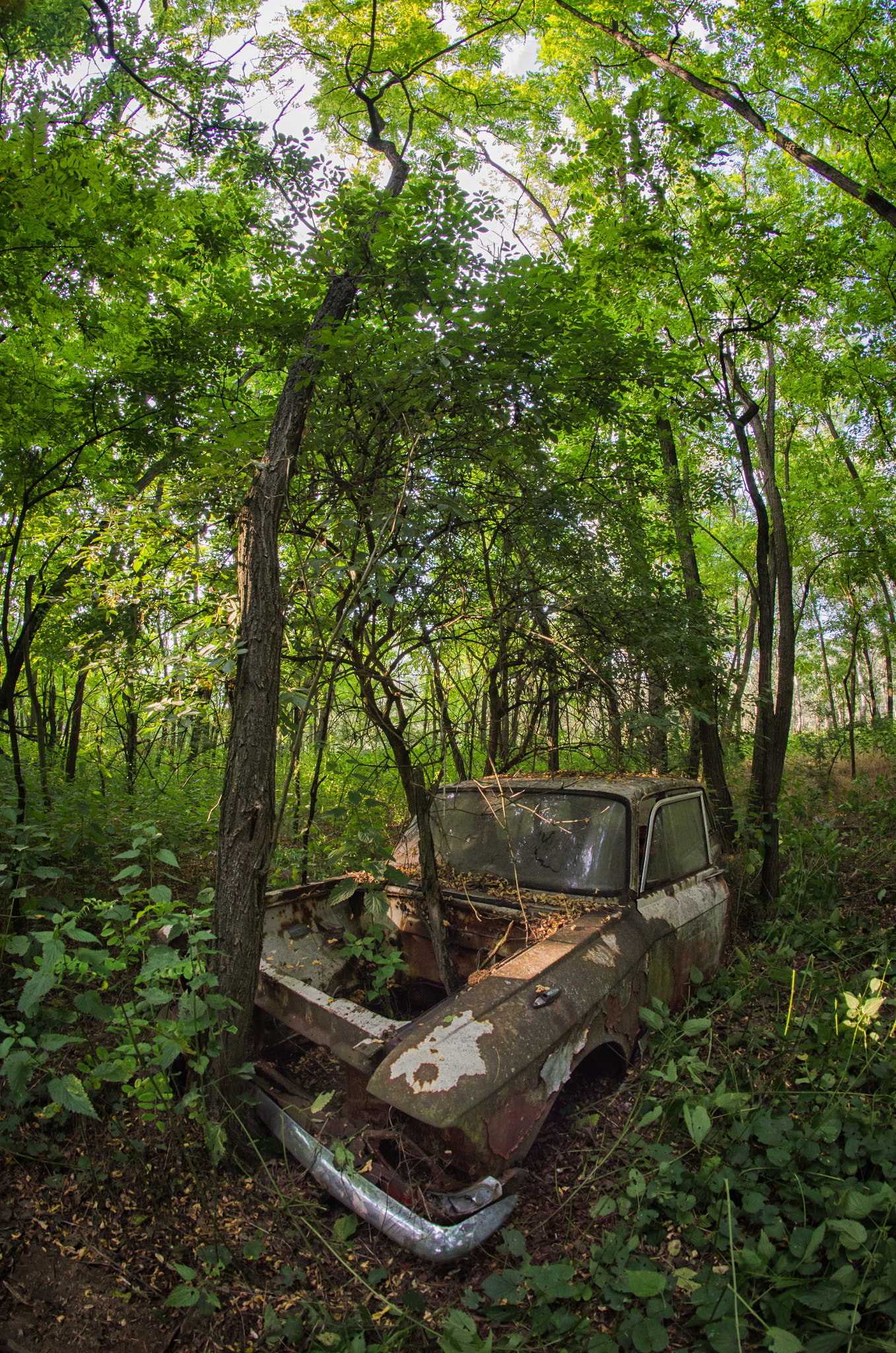 Nikon D7000 + Samyang 8mm F3.5 Aspherical IF MC Fisheye sample photo. Stand by photography