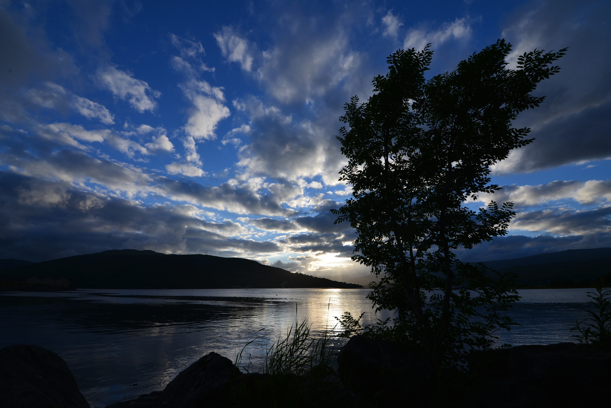 Sigma 12-24mm F4.5-5.6 II DG HSM sample photo. Summer evening photography