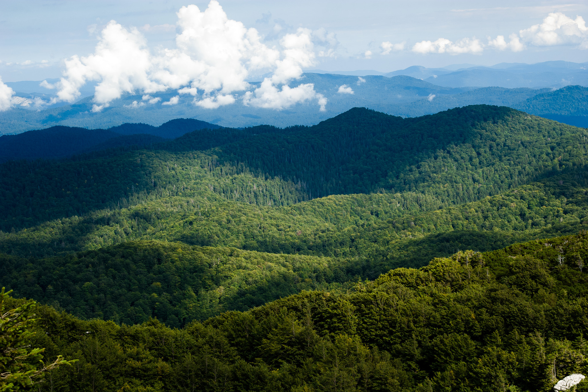 Tamron 35-90mm F4 AF sample photo. Risnjak national park photography