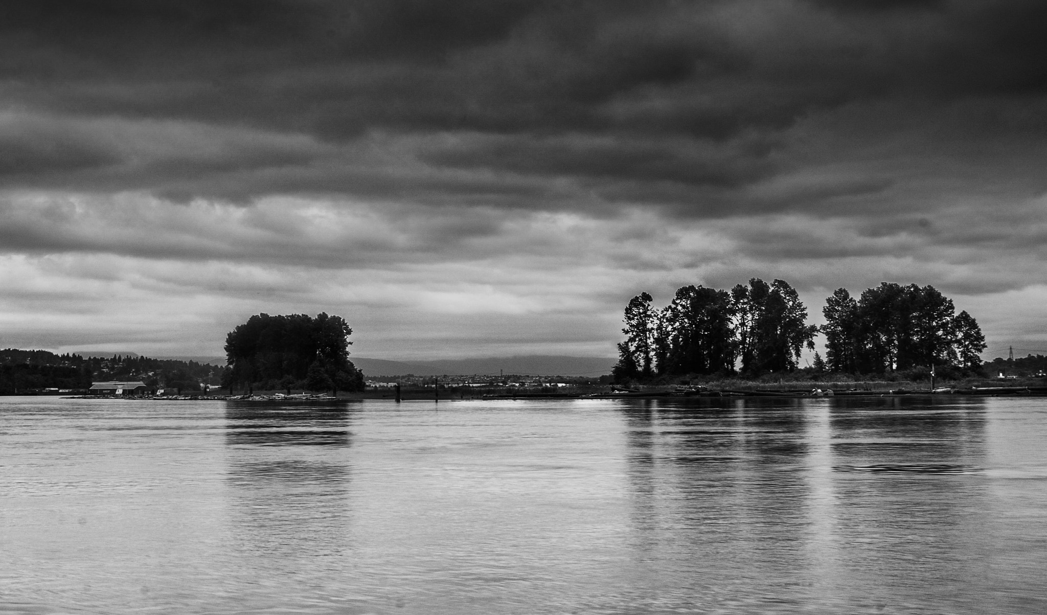 Nikon D300S sample photo. Fraser river from sapperton landing photography