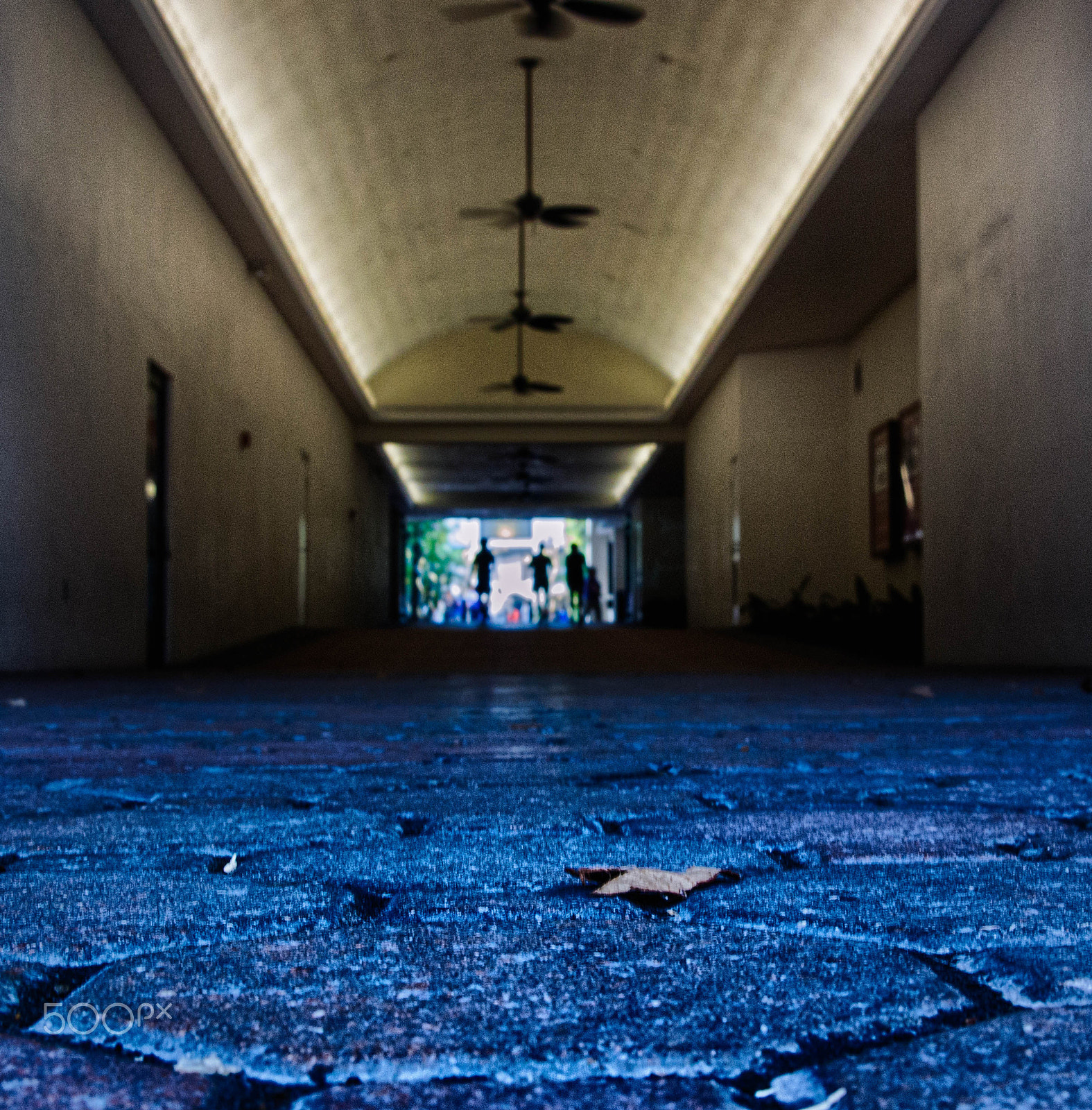 Nikon 1 J3 sample photo. Walk into the light photography