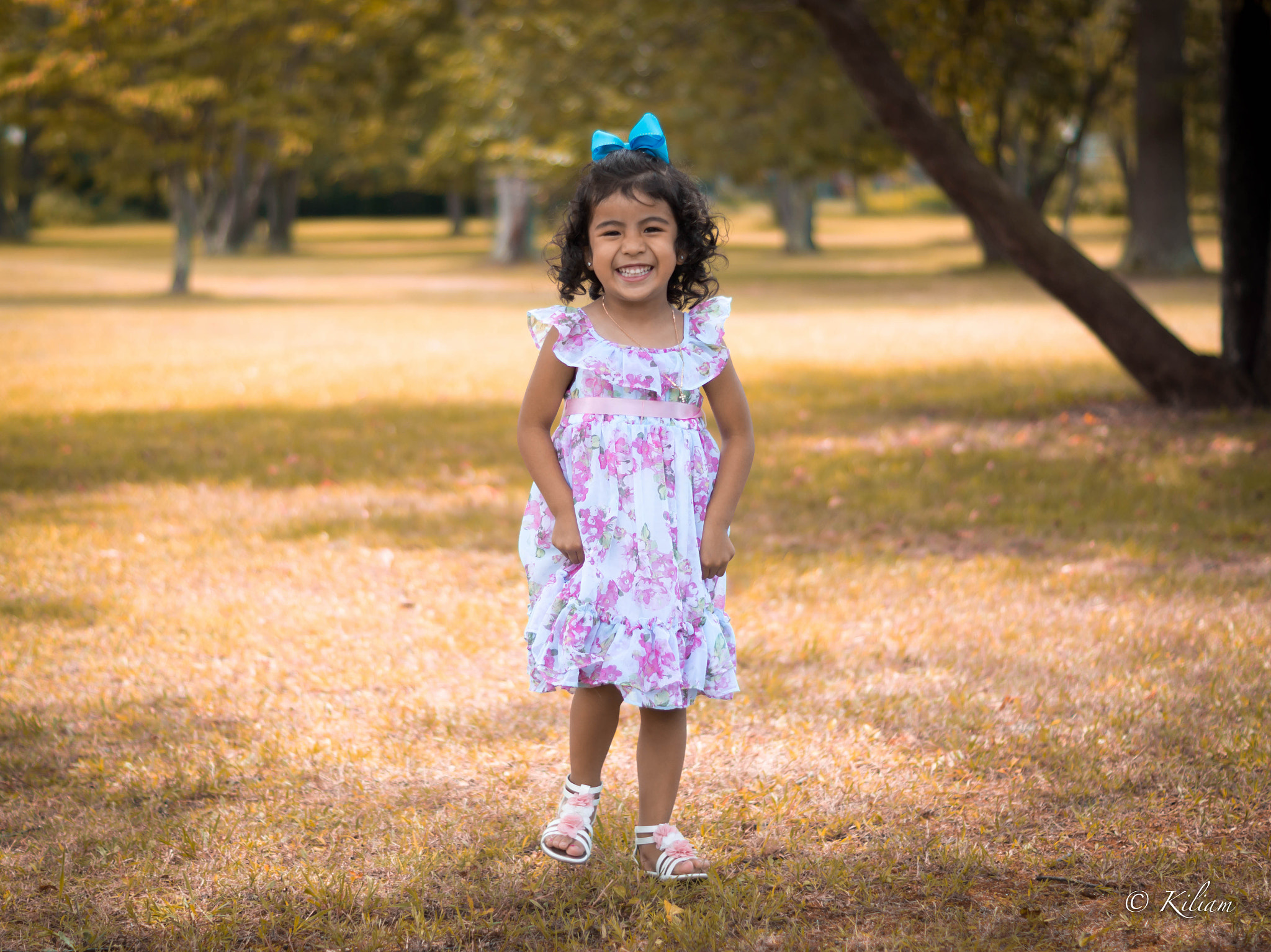 Sony SLT-A77 + Sony DT 50mm F1.8 SAM sample photo. Happy photography