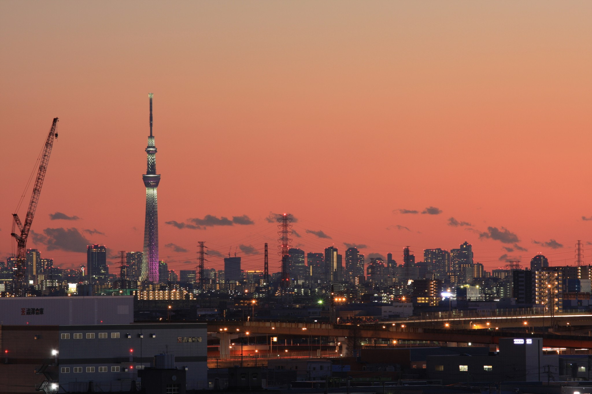 Canon EOS 40D + Canon EF 70-200mm F4L IS USM sample photo. Tokyoskytree japan photography