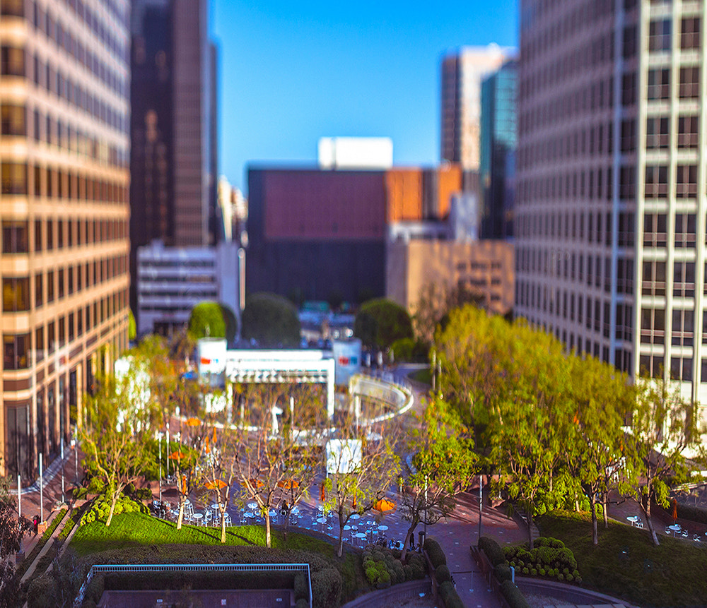 Canon TS-E 24mm f/3.5L sample photo. Omega images architectural photography ian denkerdtla photography