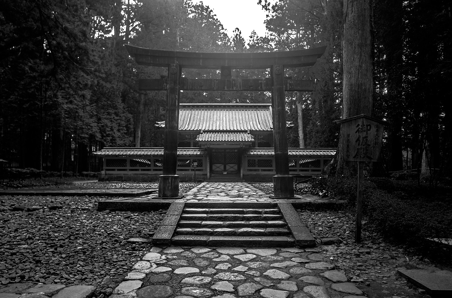 Canon EOS 6D + Canon TS-E 24mm f/3.5L sample photo. Nikko black and white photography