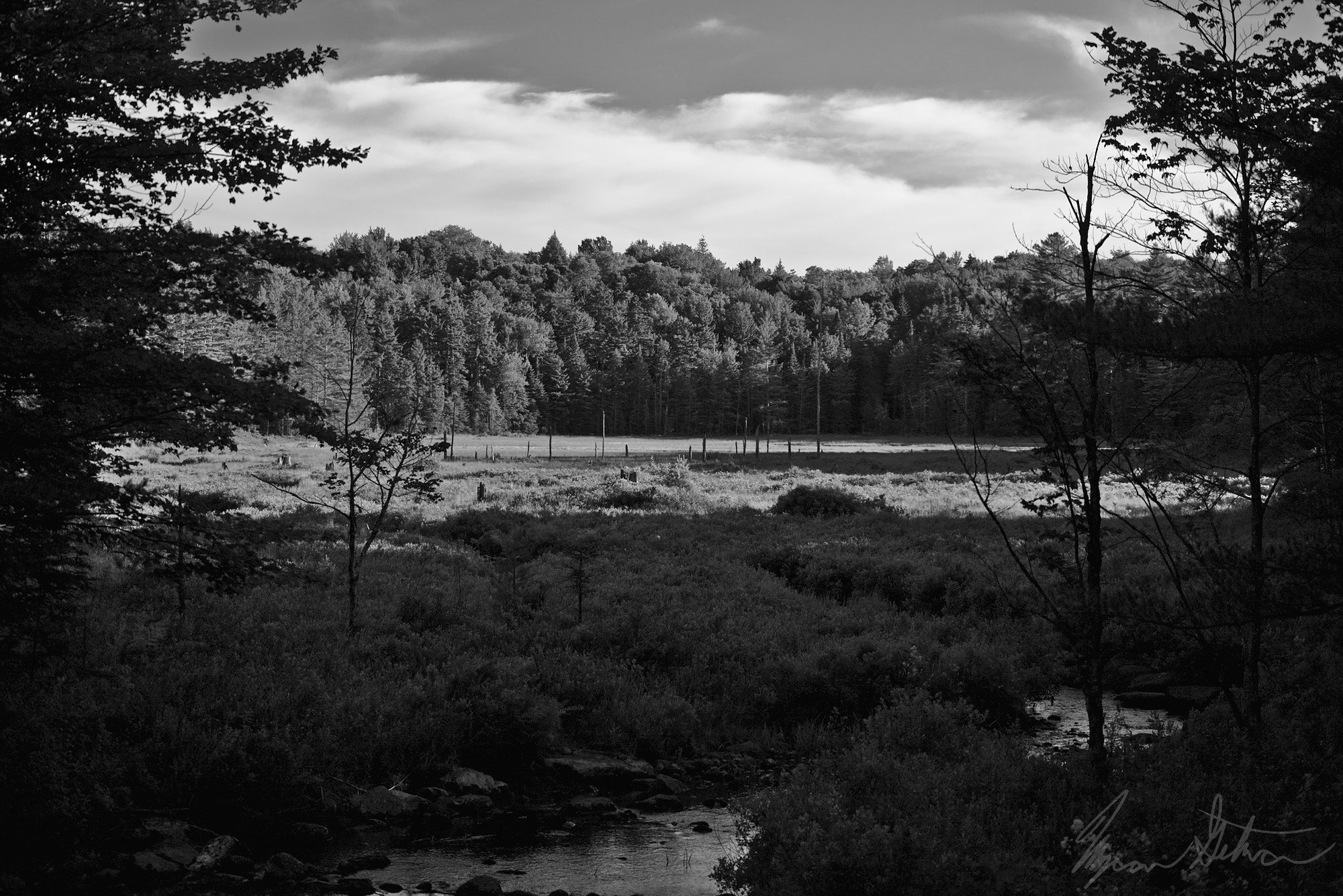 Canon EOS 5D + EF75-300mm f/4-5.6 sample photo. Overlooking limekiln swamp photography