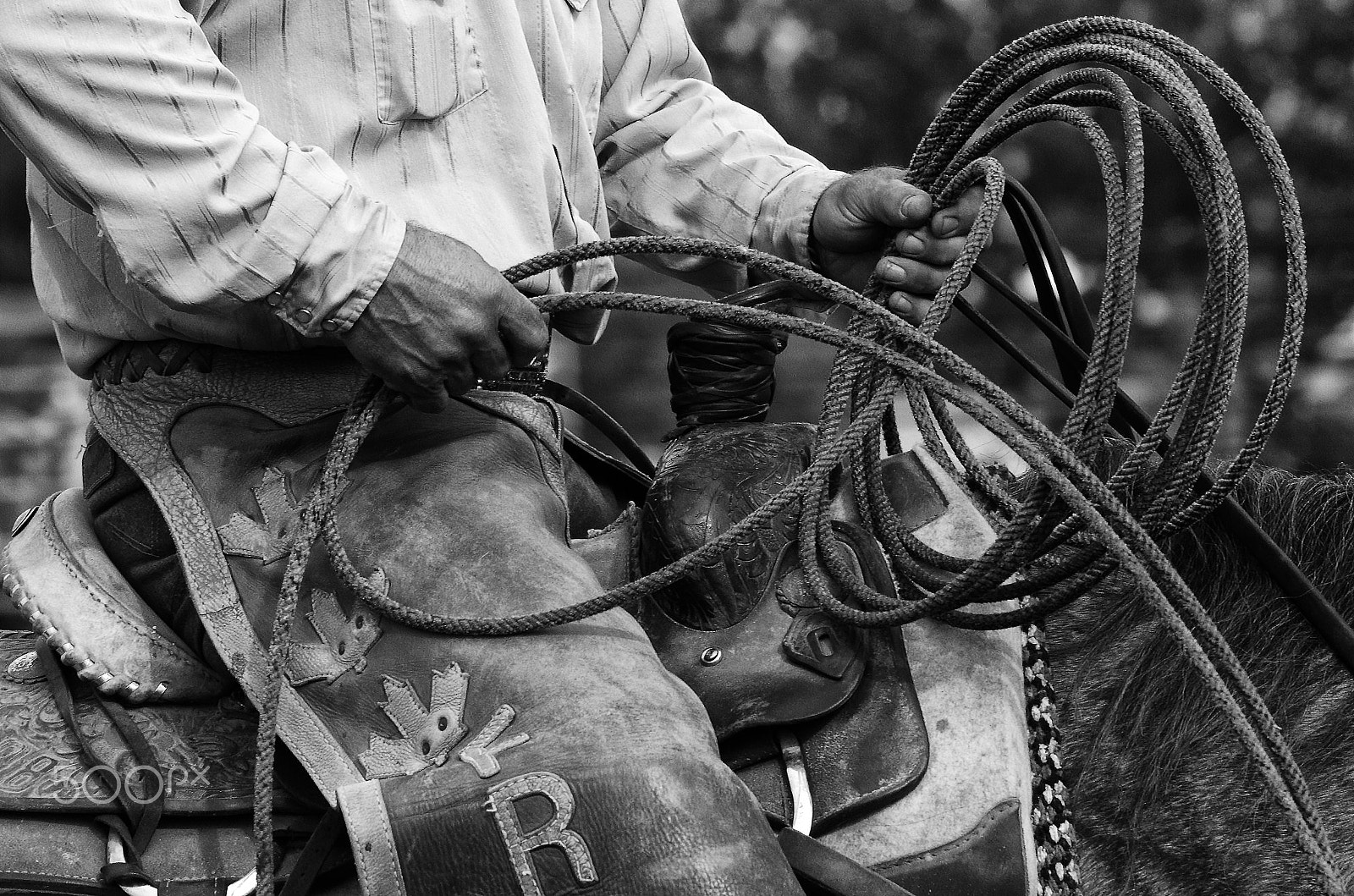 Nikon D7000 + Nikon AF-S Nikkor 80-400mm F4.5-5.6G ED VR sample photo. Cowboy country 2 photography