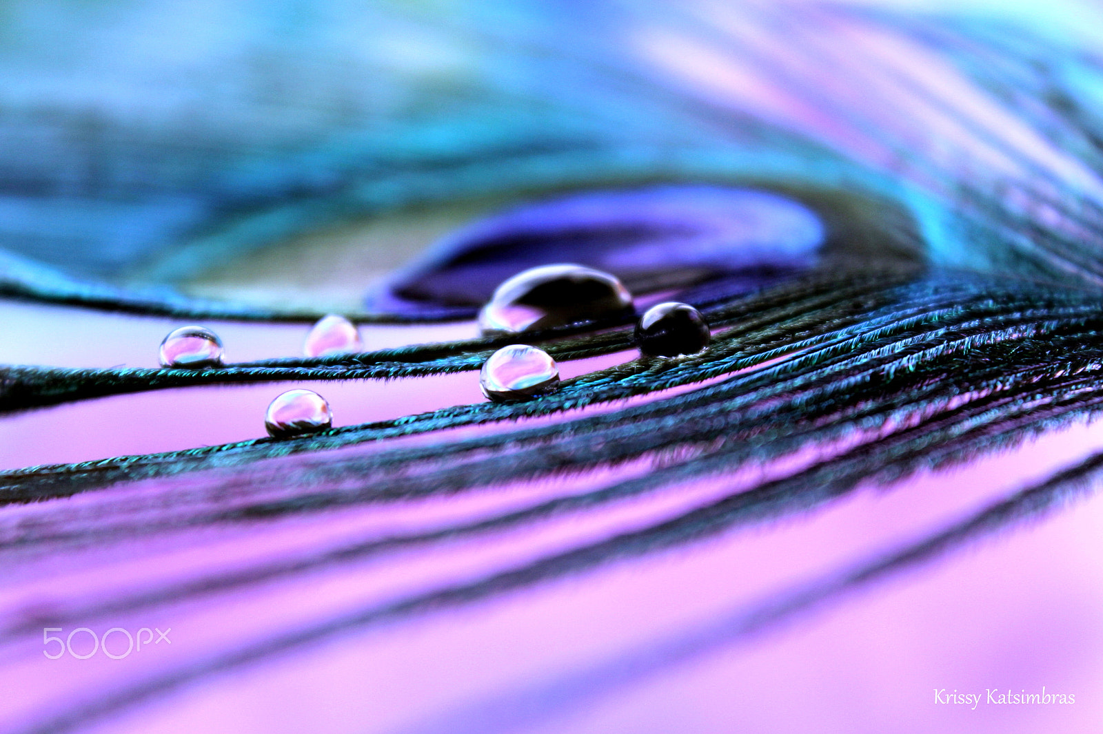 Canon EF-S 18-55mm F3.5-5.6 IS II sample photo. Liquid jewels photography