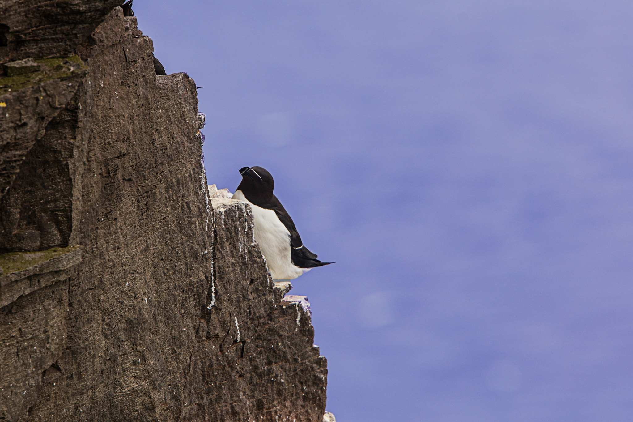 Canon EF 300mm F2.8L IS II USM sample photo. Am felsen photography