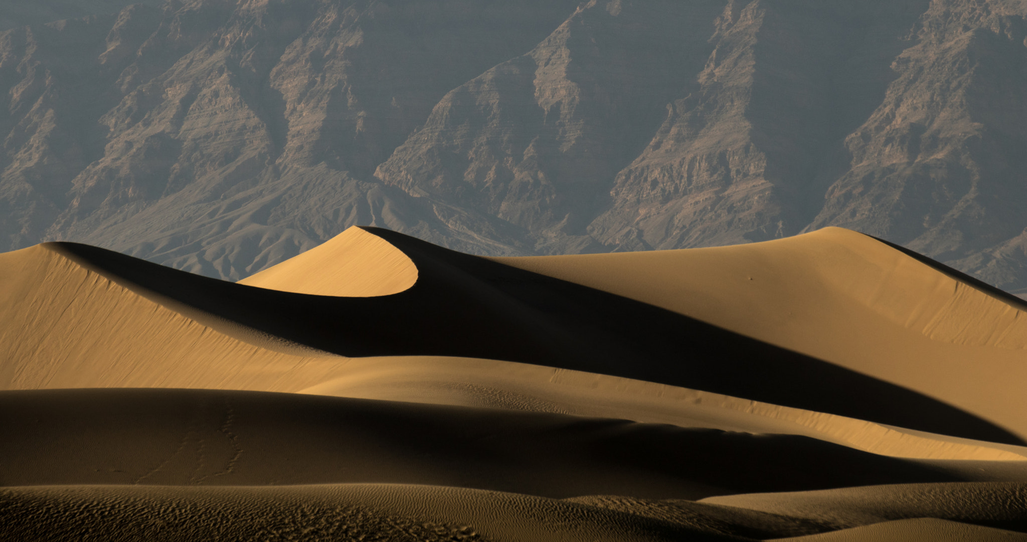 Tamron SP 35mm F1.8 Di VC USD sample photo. Desert photography