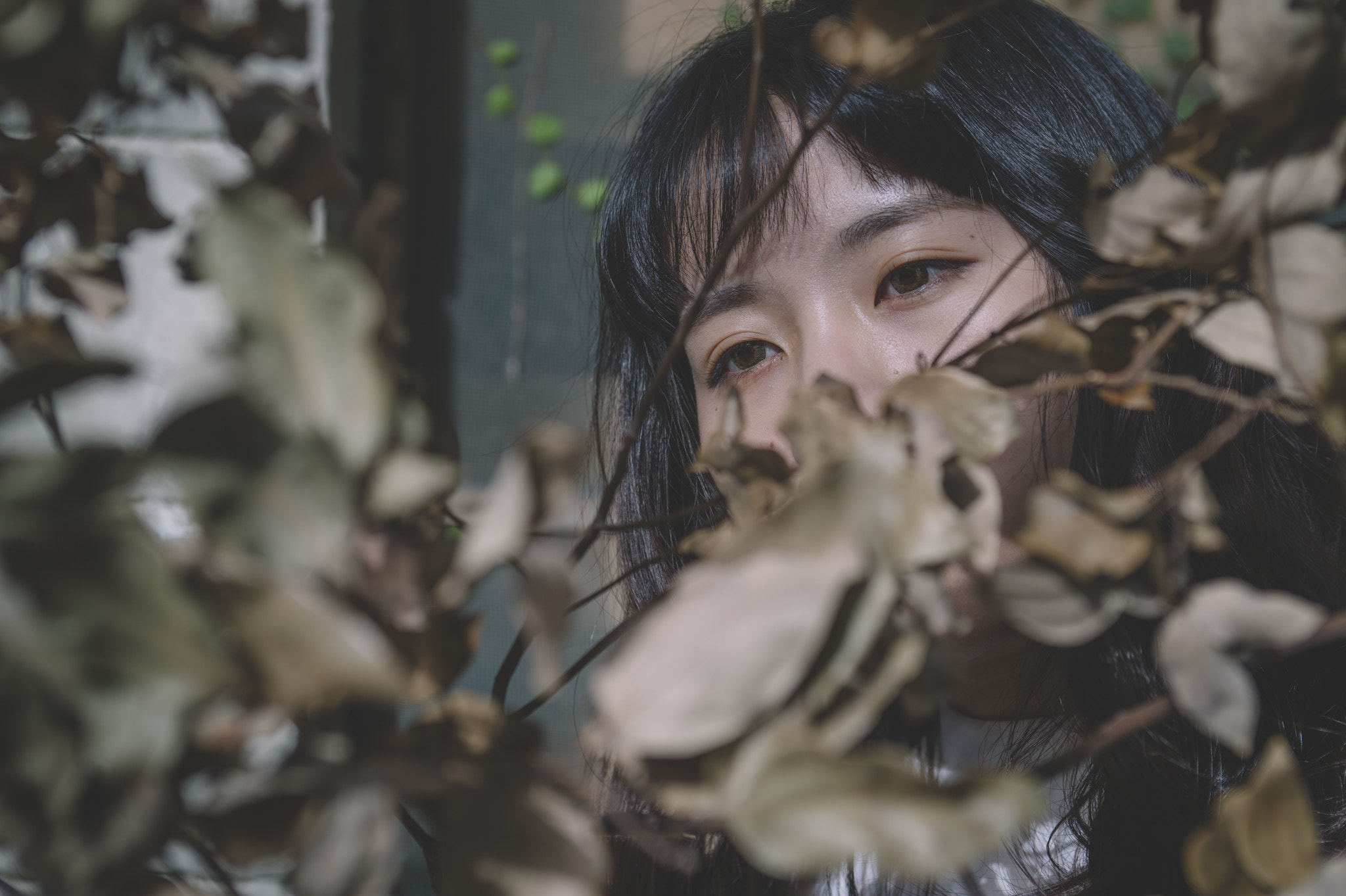 Nikon AF-S Nikkor 28-70mm F2.8 ED-IF sample photo. Eyes photography
