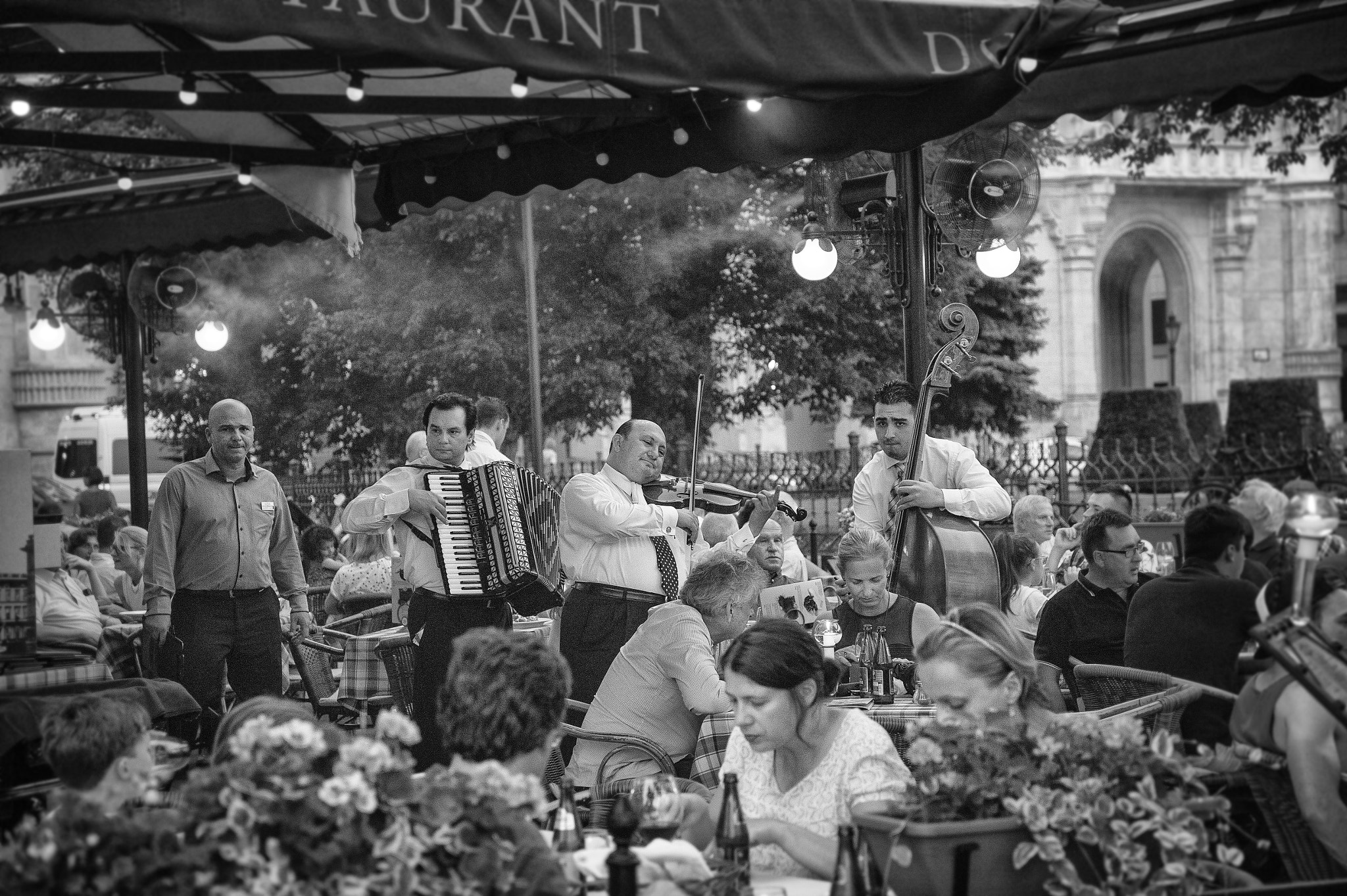Nikon Df sample photo. Dining experience photography
