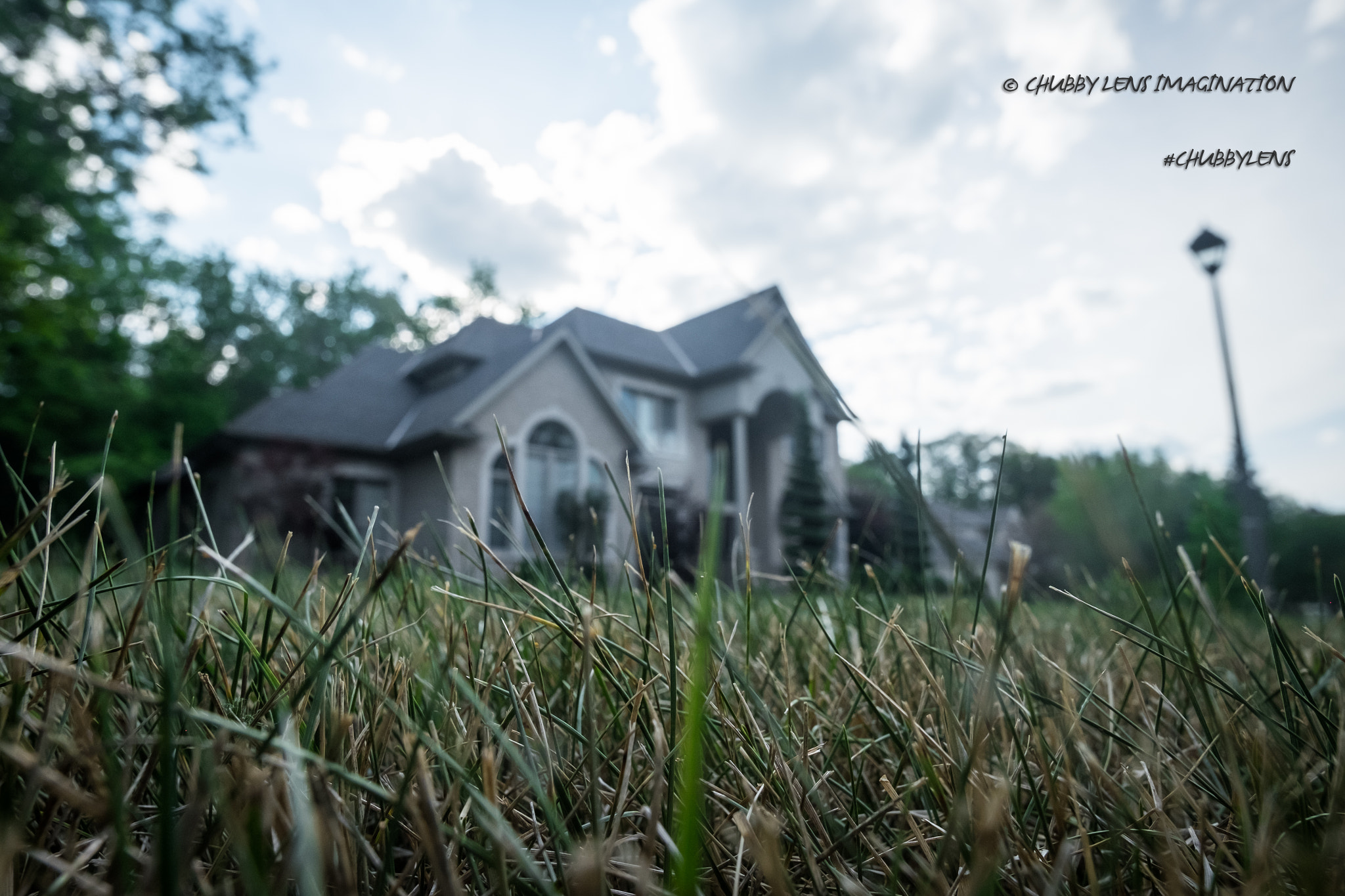 ZEISS Touit 12mm F2.8 sample photo. My dream house photography