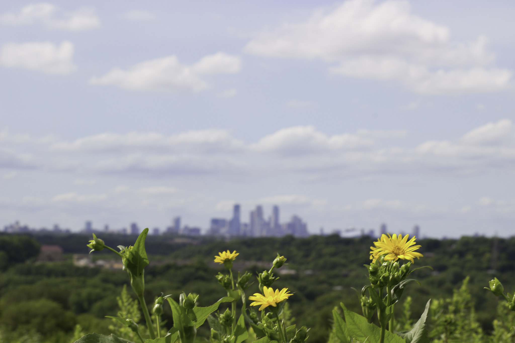 Canon EOS 100D (EOS Rebel SL1 / EOS Kiss X7) sample photo. Twin cities in sight photography
