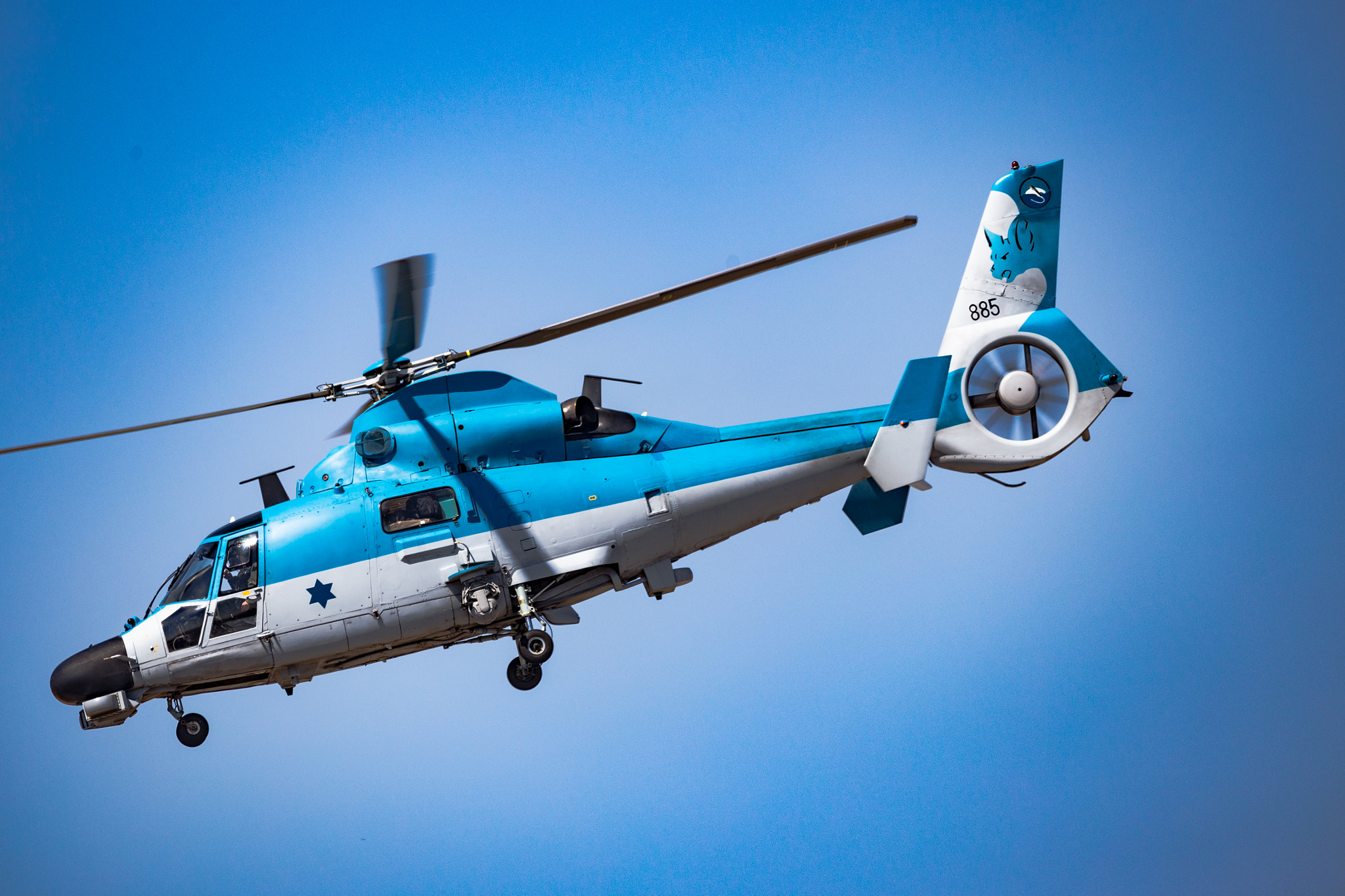 Sigma 150-600mm F5-6.3 DG OS HSM | C sample photo. As-565sa panther photography