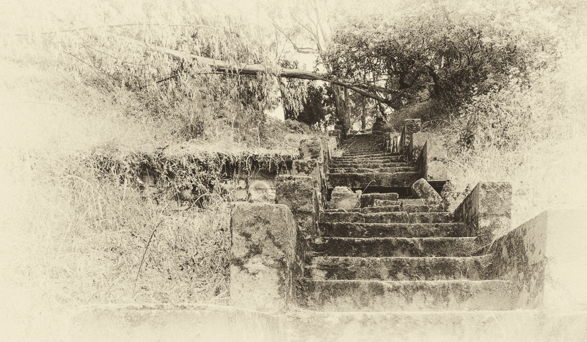 Panasonic Lumix DMC-GM5 sample photo. Ancient stairs photography