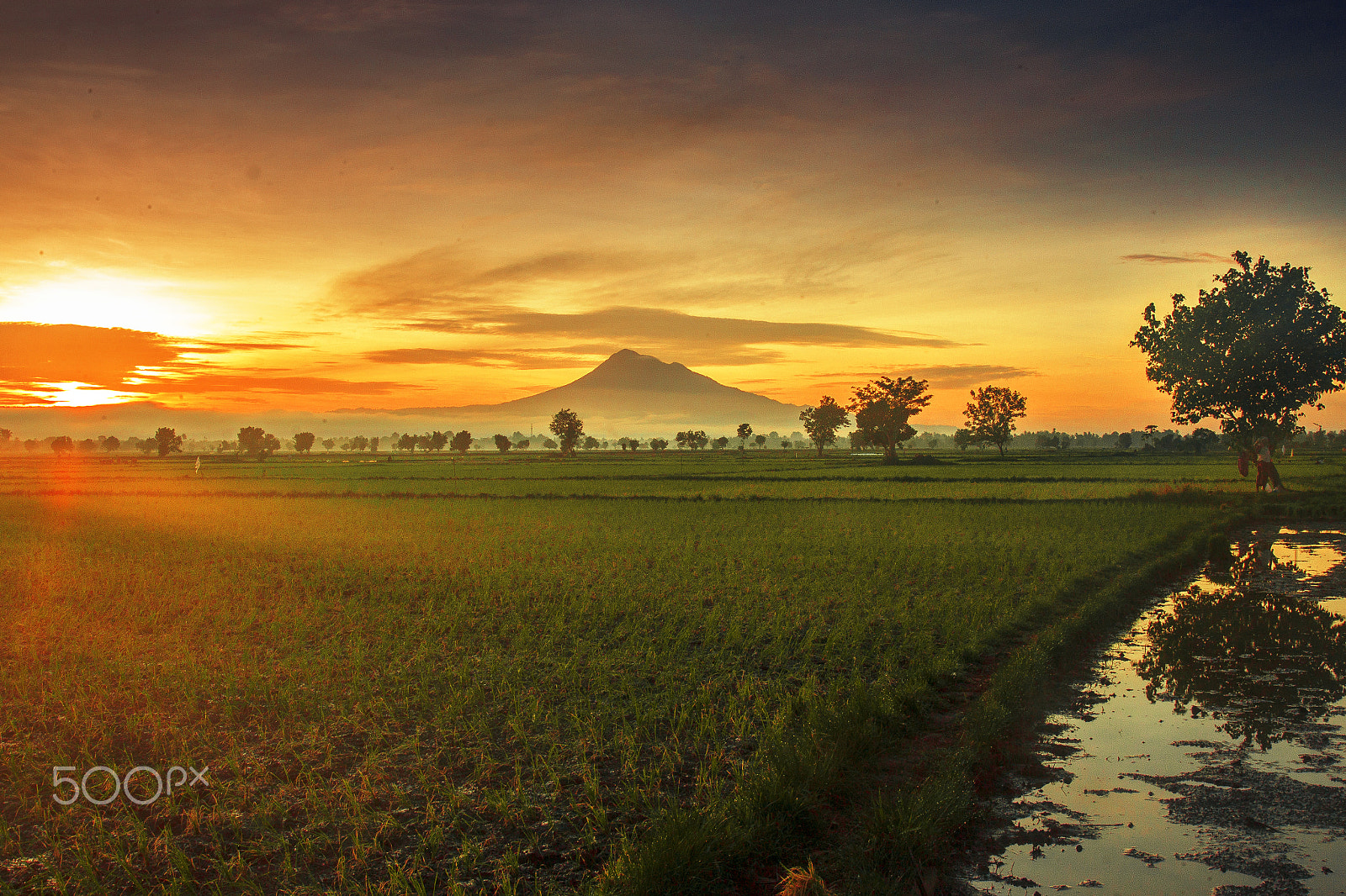 Canon EOS 500D (EOS Rebel T1i / EOS Kiss X3) + Canon EF 17-40mm F4L USM sample photo. Sunrise burning, indrapuri, aceh besar photography