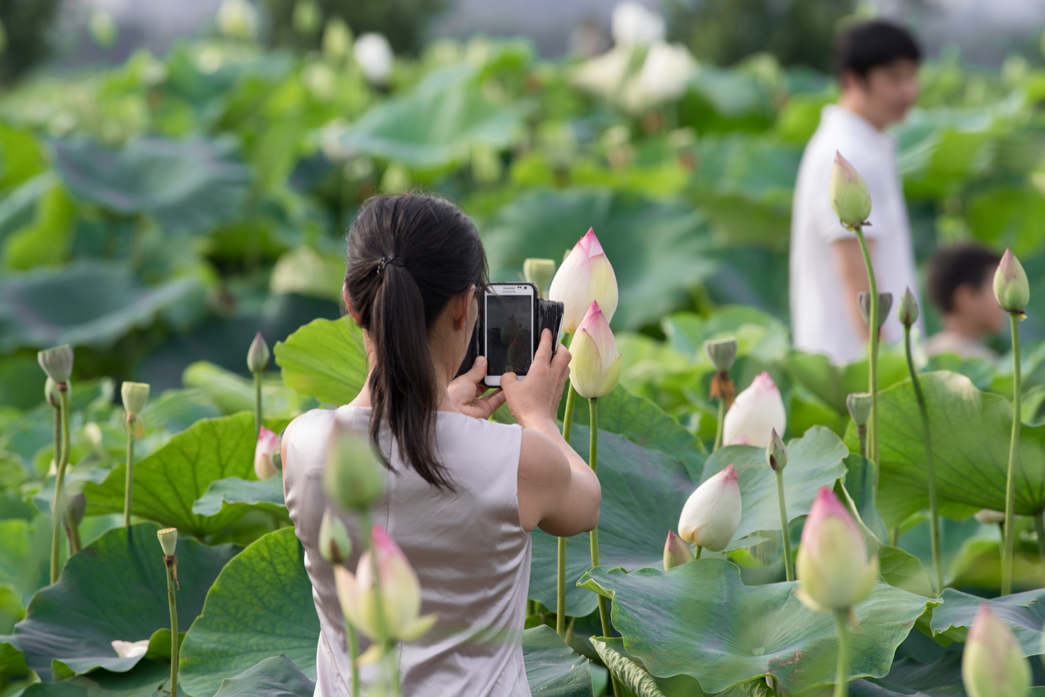 Pentax K-1 + Pentax smc DA* 300mm F4.0 ED (IF) SDM sample photo. Flowers and woman photography