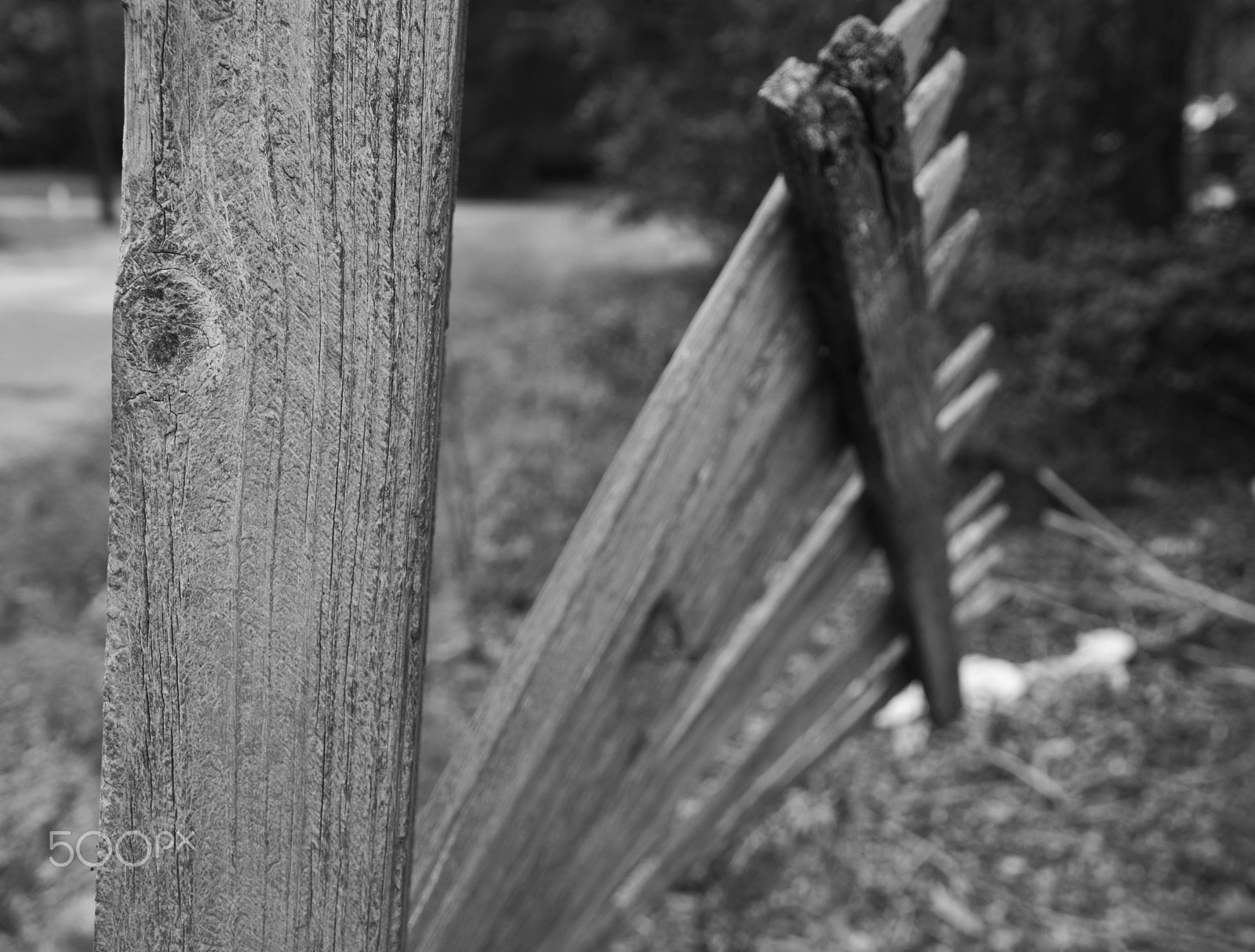 Nikon D40X sample photo. Broken fence two photography