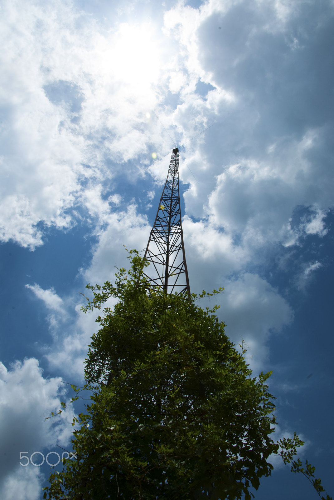 Nikon D40X sample photo. Old ham radio antenna photography