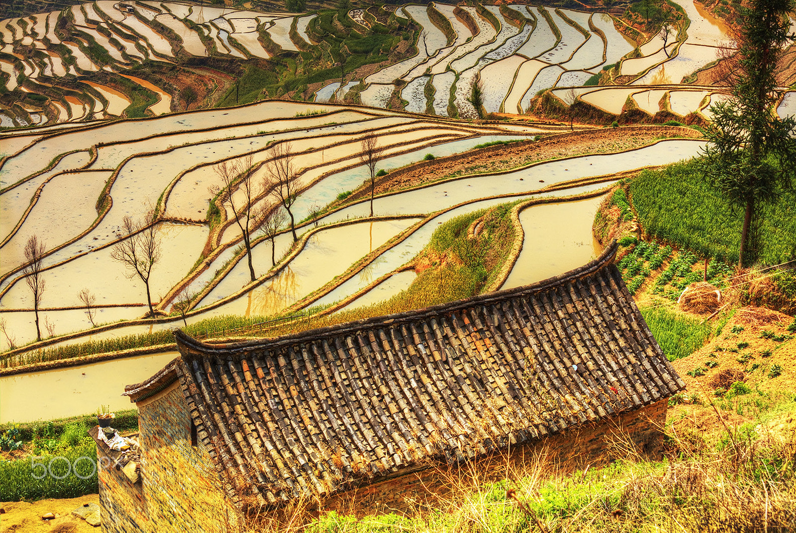 Canon EOS 5DS + Canon EF 70-200mm F4L IS USM sample photo. Terraced field old barn house photography