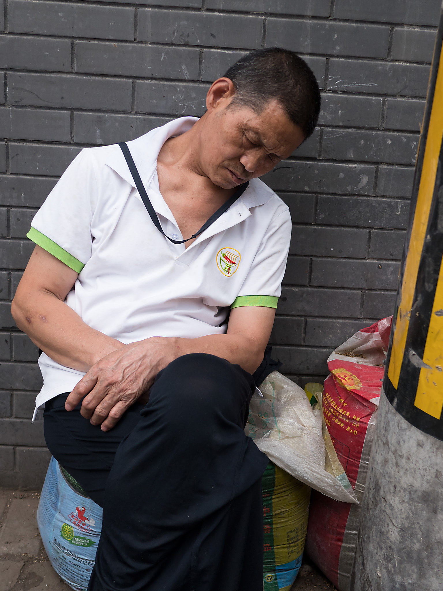 Panasonic Lumix DMC-GX8 + LEICA DG SUMMILUX 15/F1.7 sample photo. A sleeping man photography