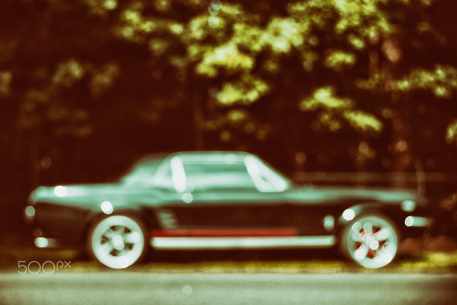 AF Zoom-Nikkor 28-70mm f/3.5-4.5D sample photo. Morning sun mustang photography