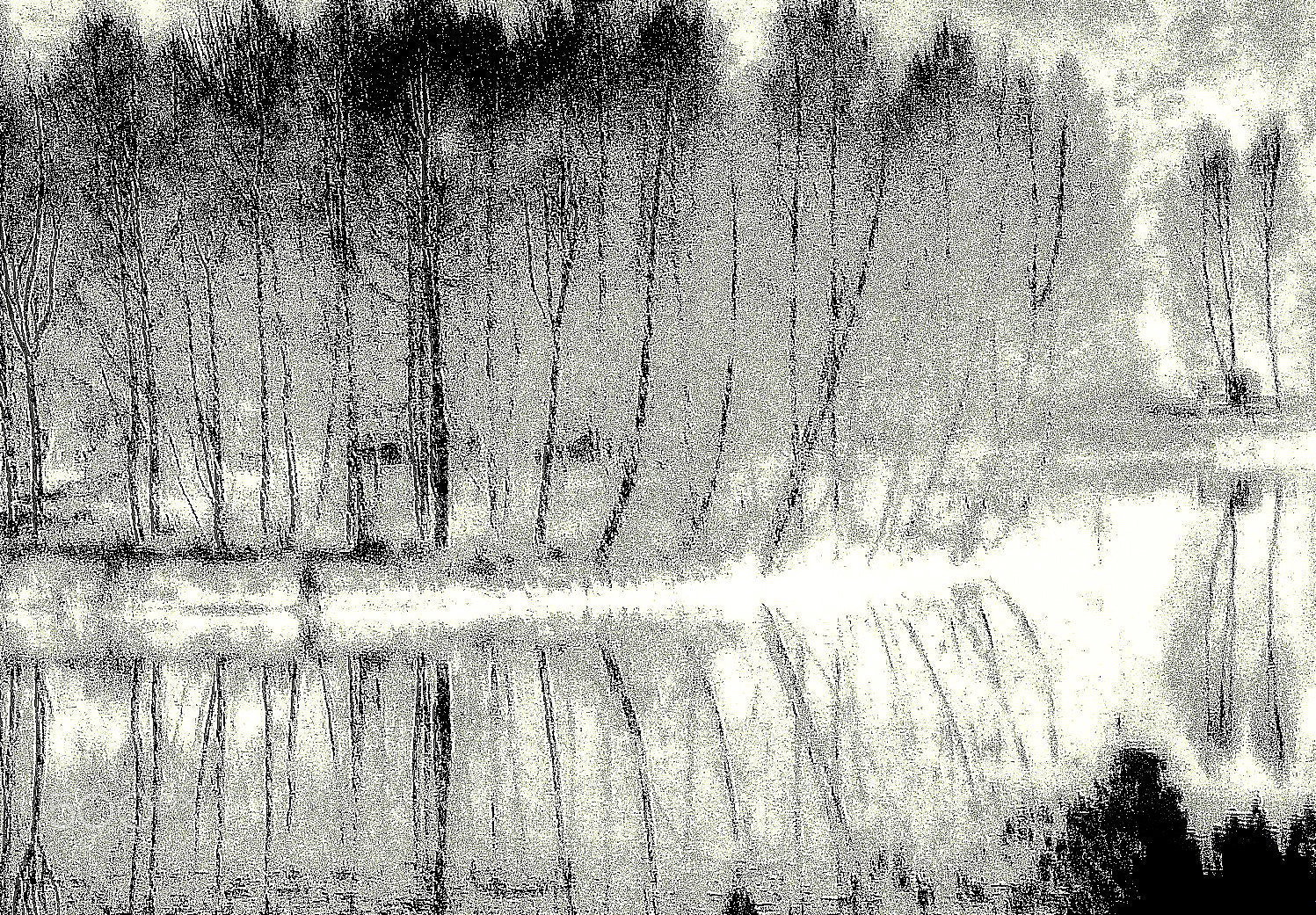 Leica V-Lux 3 sample photo. Au bord du lac photography