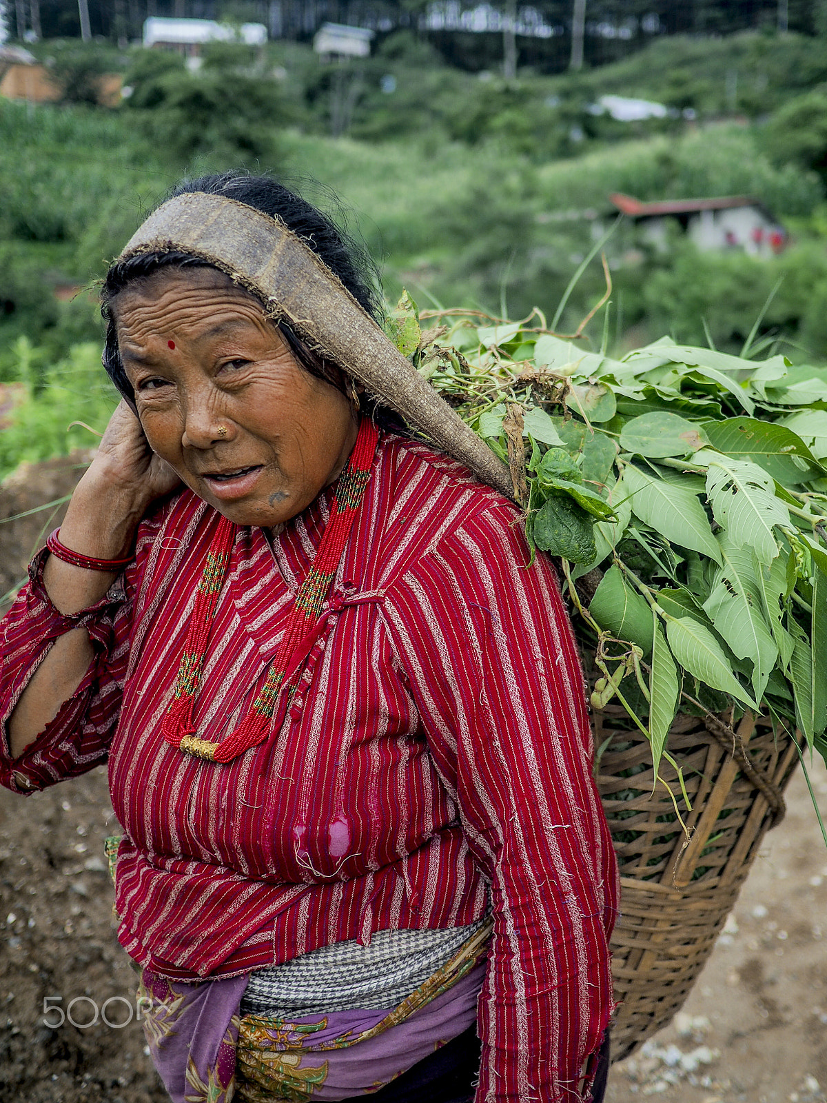 Olympus OM-D E-M5 II + Panasonic Lumix G 20mm F1.7 ASPH sample photo. Nagarkot, nepal photography