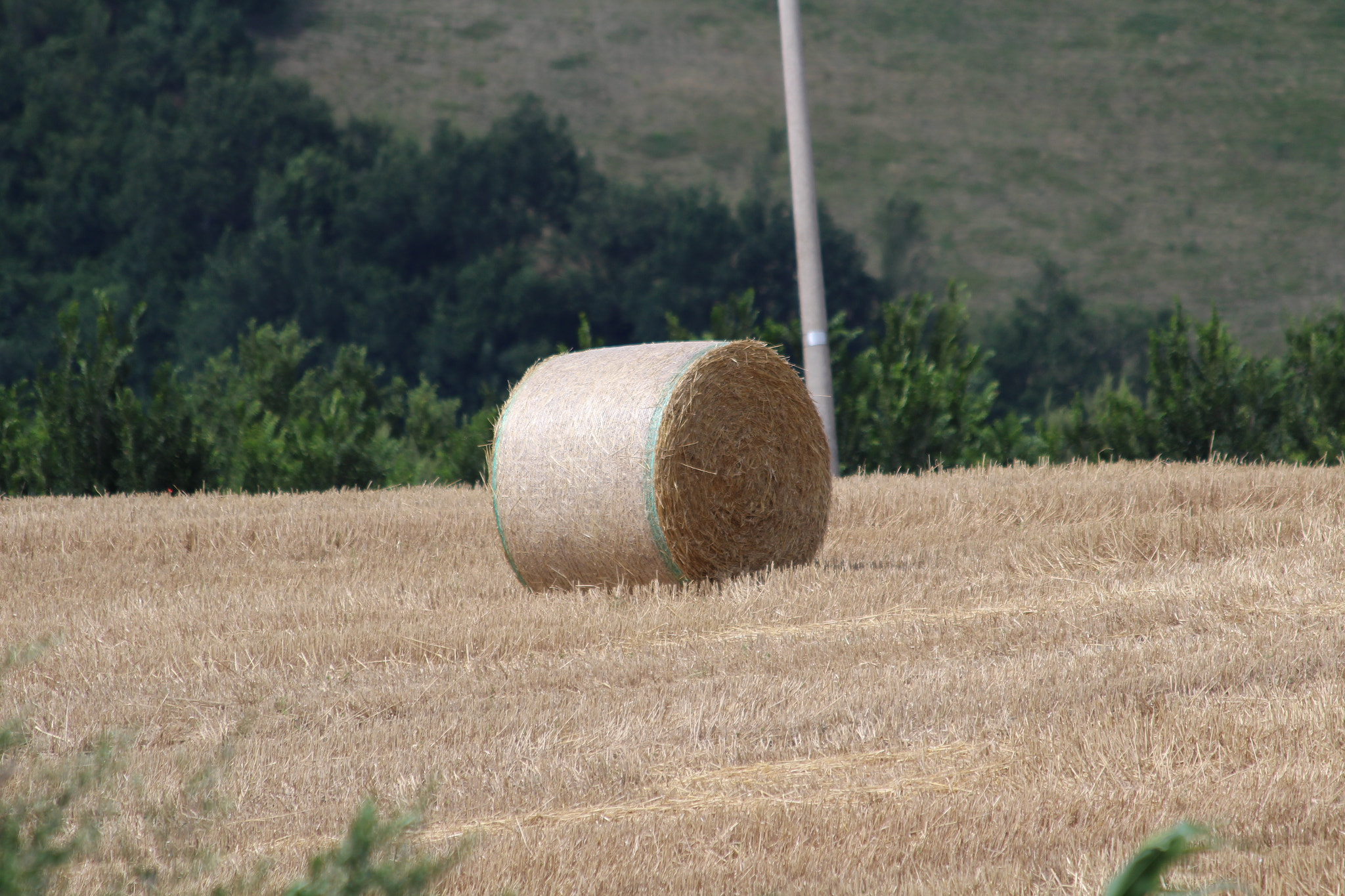 Canon EF 70-300mm F4-5.6 IS USM sample photo. #traditions photography