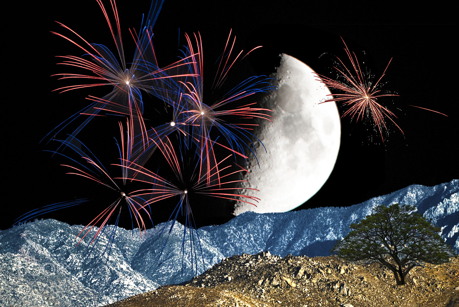 Nikon D80 sample photo. Independence day photography