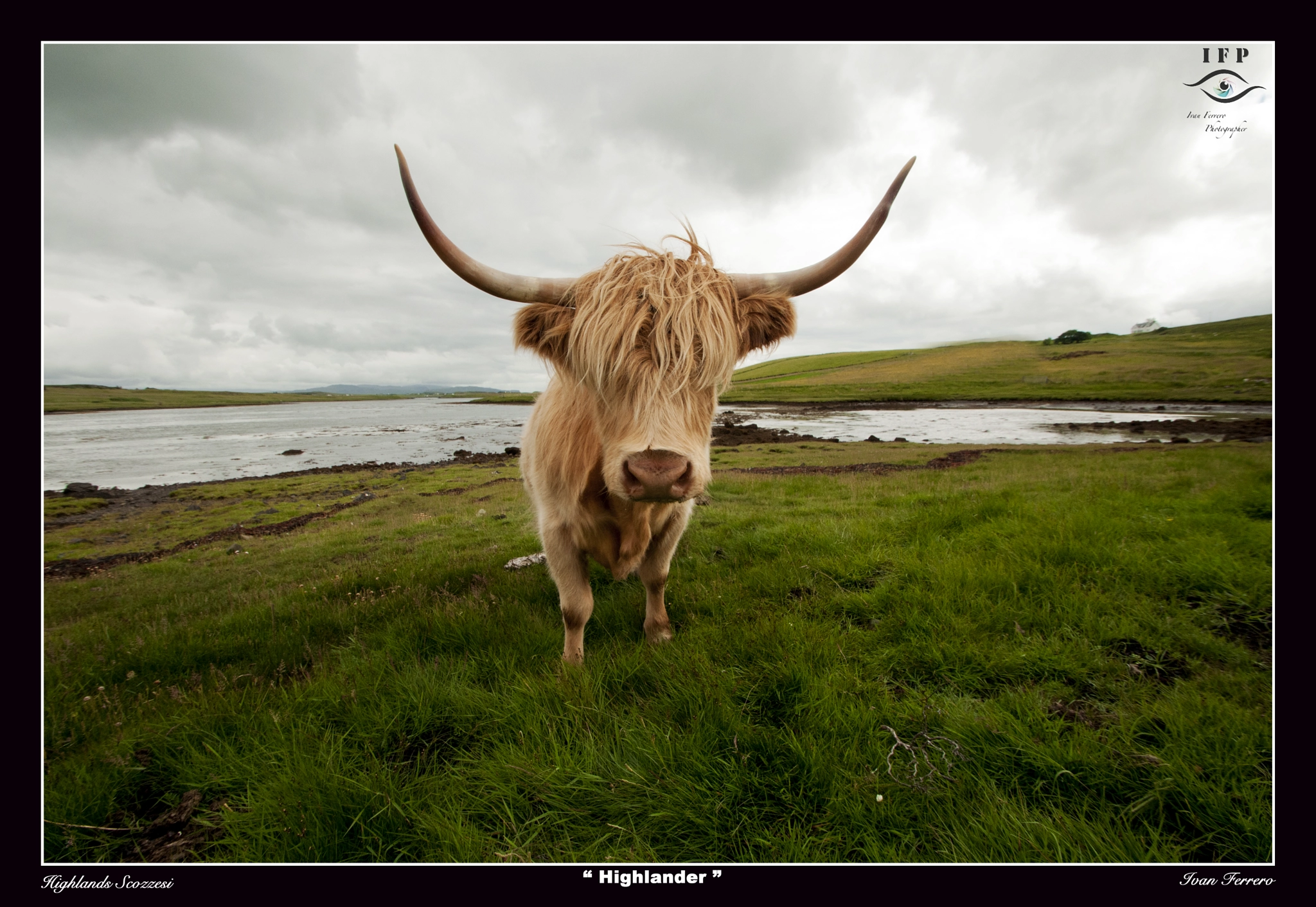 Nikon D300S sample photo. Highlander photography
