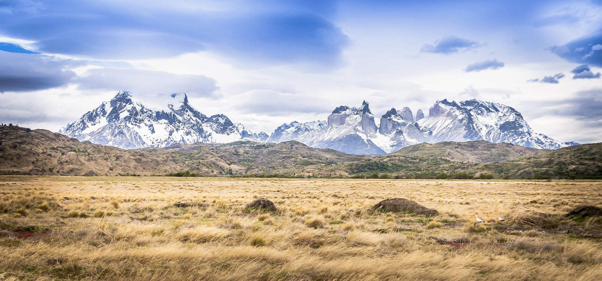 Canon EOS 500D (EOS Rebel T1i / EOS Kiss X3) sample photo. Torres del paine, chile photography