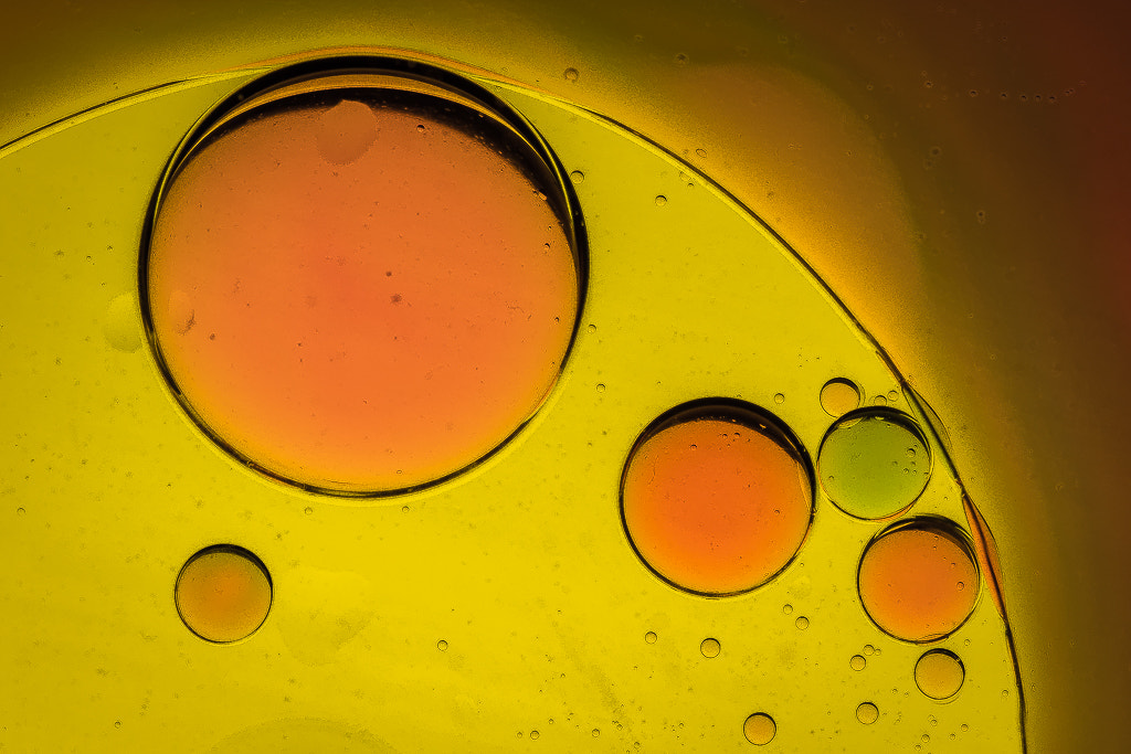 Canon MP-E 65mm F2.5 1-5x Macro Photo sample photo. Bulles photography