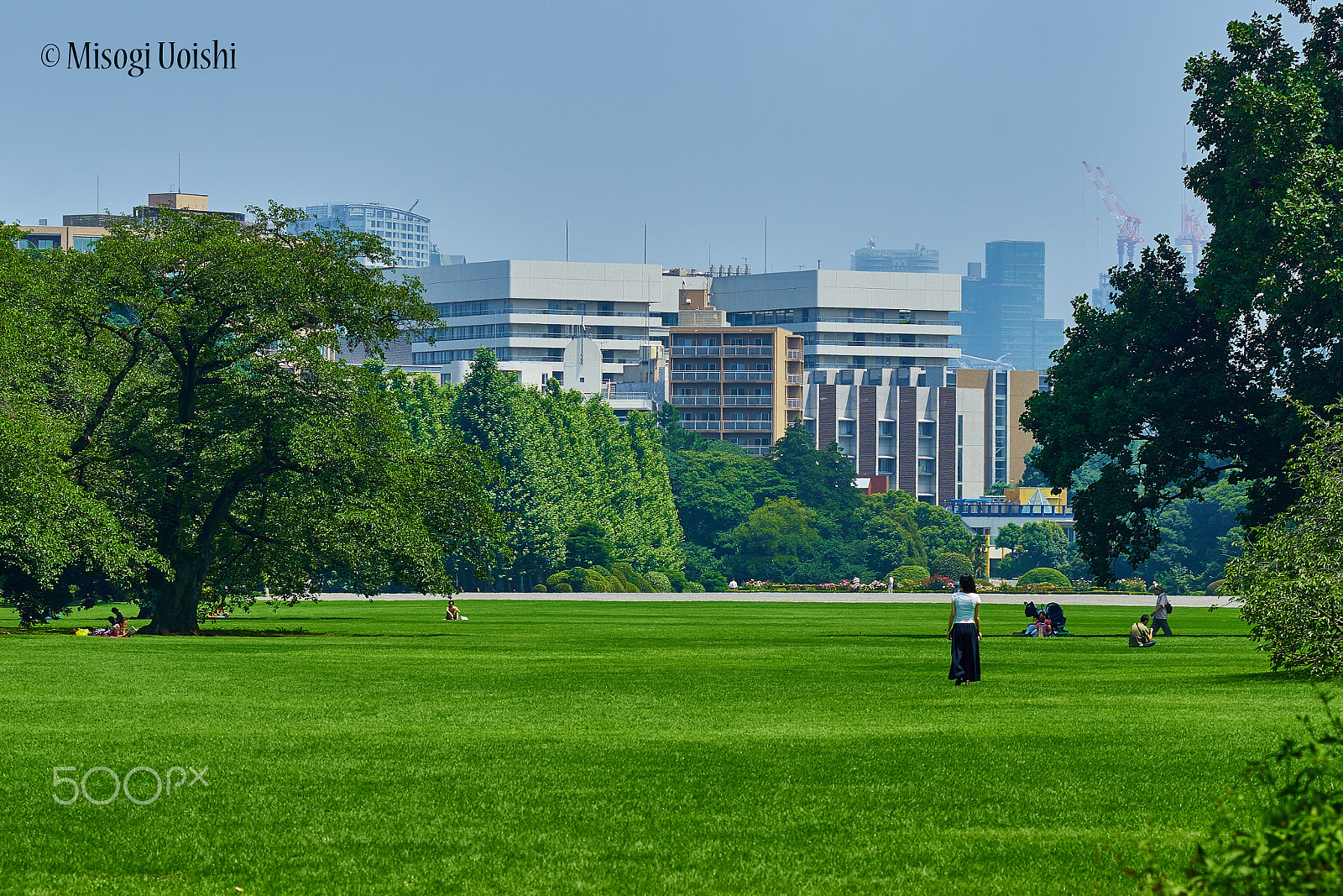 Sony ILCA-77M2 + Sony Planar T* 85mm F1.4 ZA sample photo. Urban oasis photography