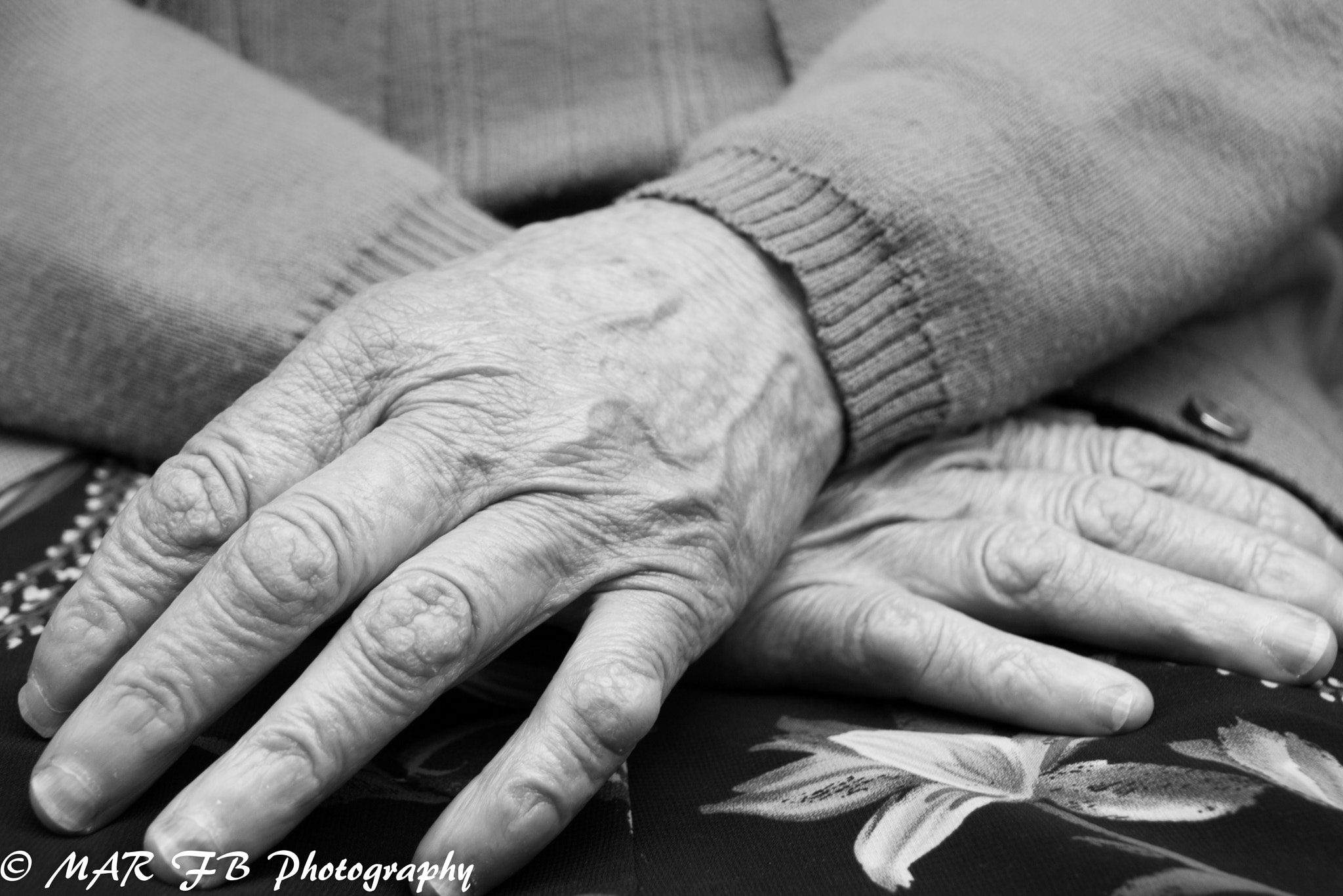Canon EOS 450D (EOS Rebel XSi / EOS Kiss X2) sample photo. Todo el amor de sus manos photography