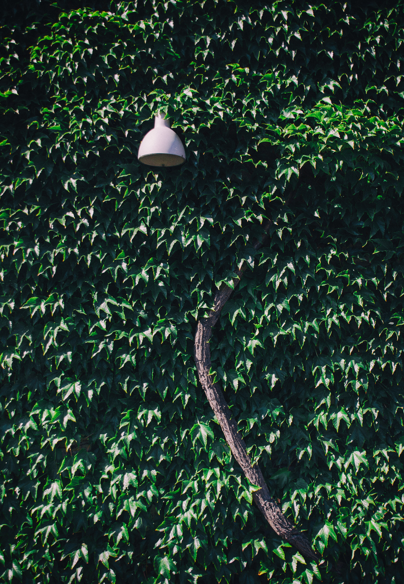 Sigma 18-200mm f/3.5-6.3 DC OS sample photo. Lamp photography