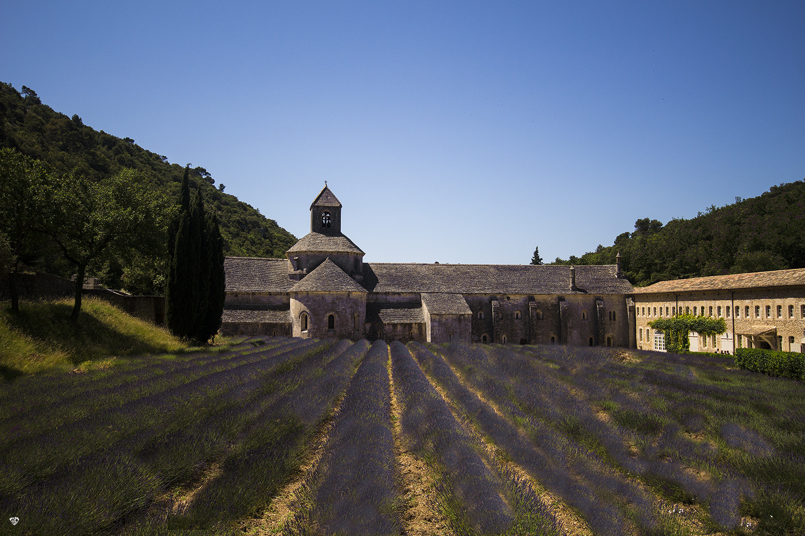 Canon EOS 100D (EOS Rebel SL1 / EOS Kiss X7) + Sigma 10-20mm F4-5.6 EX DC HSM sample photo. Provence, la lavande photography