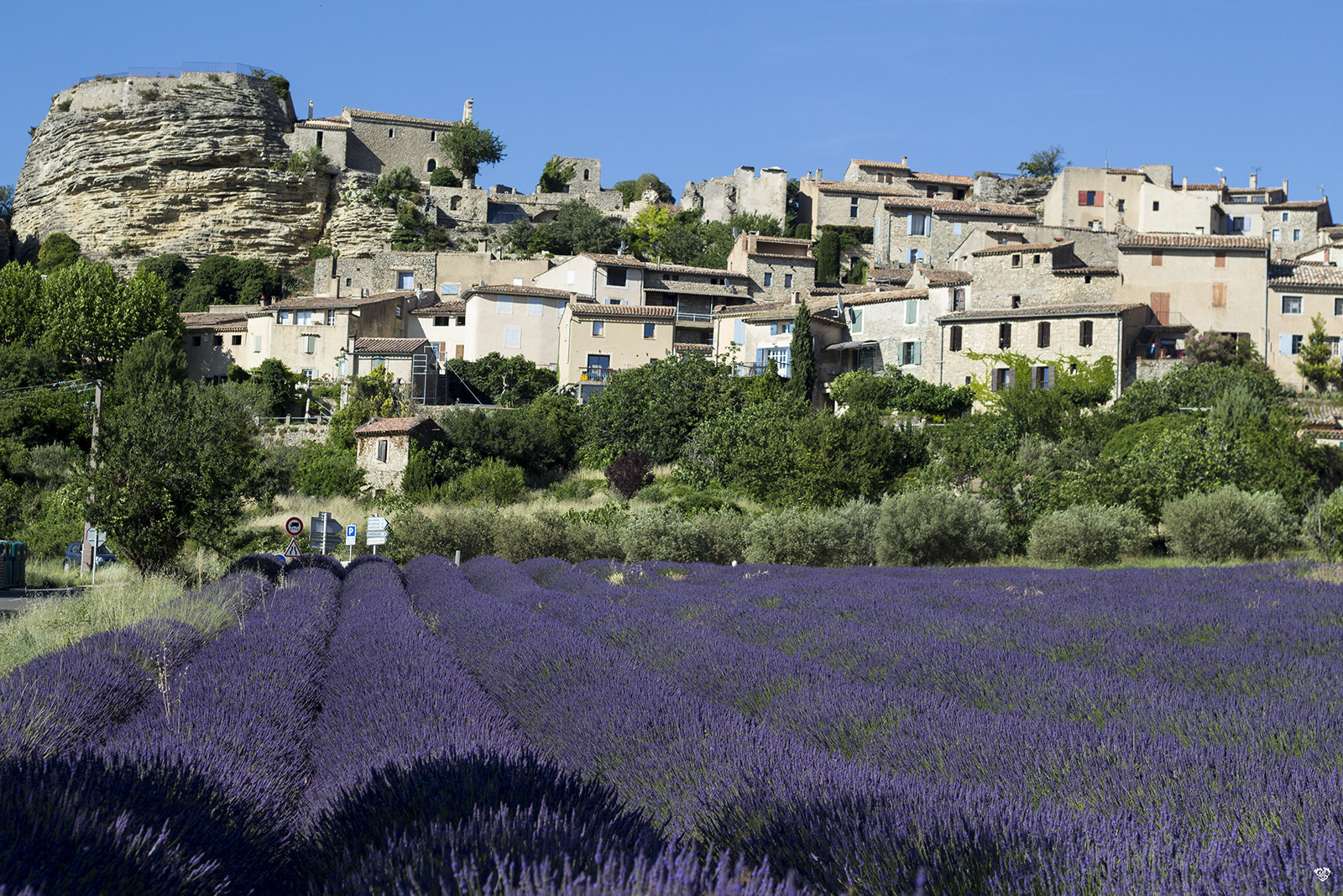 Canon EOS 100D (EOS Rebel SL1 / EOS Kiss X7) + Canon EF 50mm F1.8 II sample photo. Provence, la lavande photography