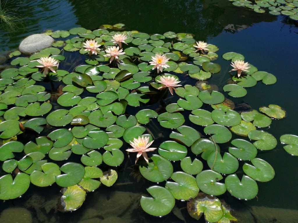 Samsung Galaxy S DUOS sample photo. C photography