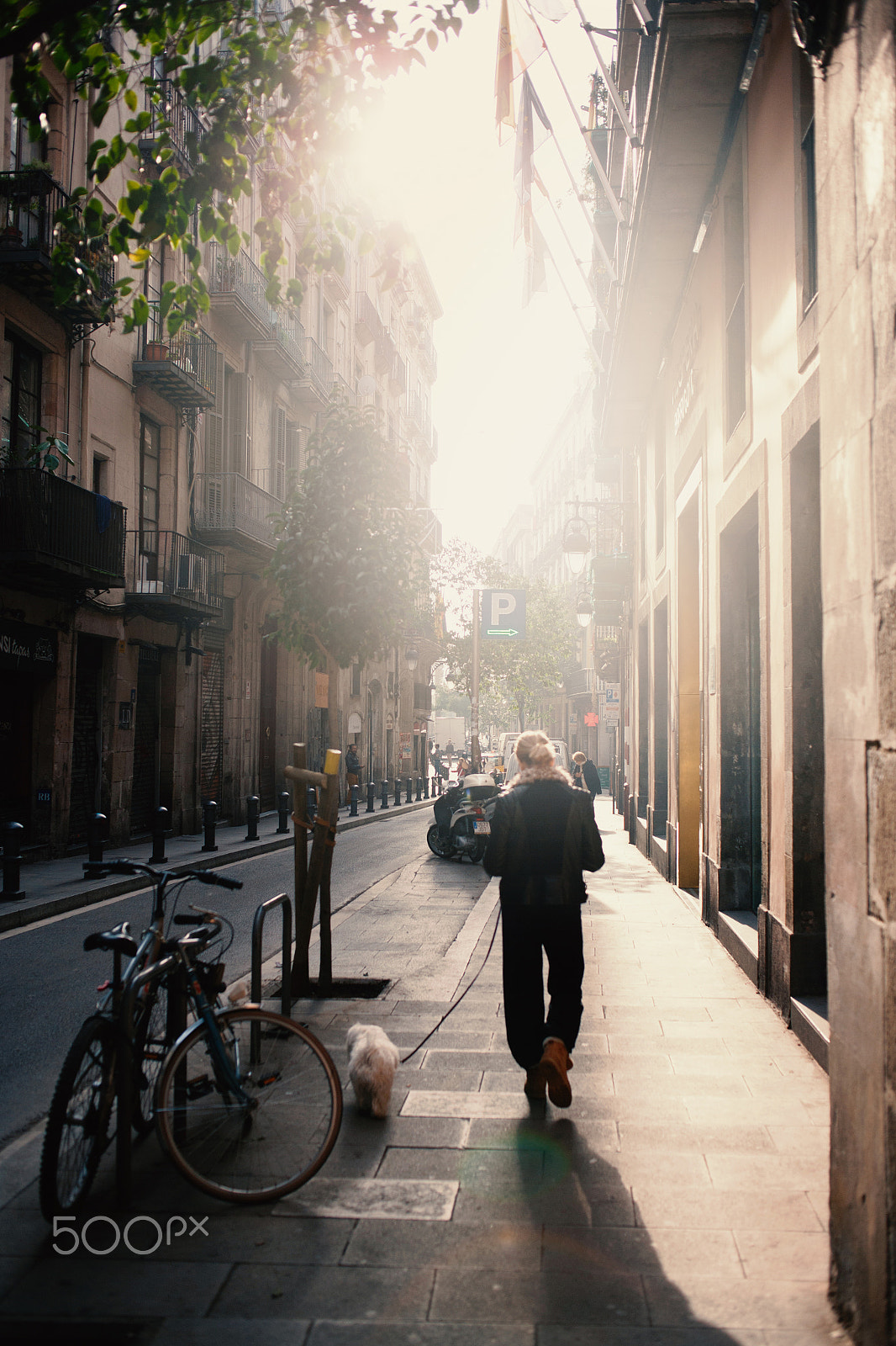 Canon EOS-1Ds Mark II + Canon EF 35mm F2 sample photo. Barcelona's streets photography