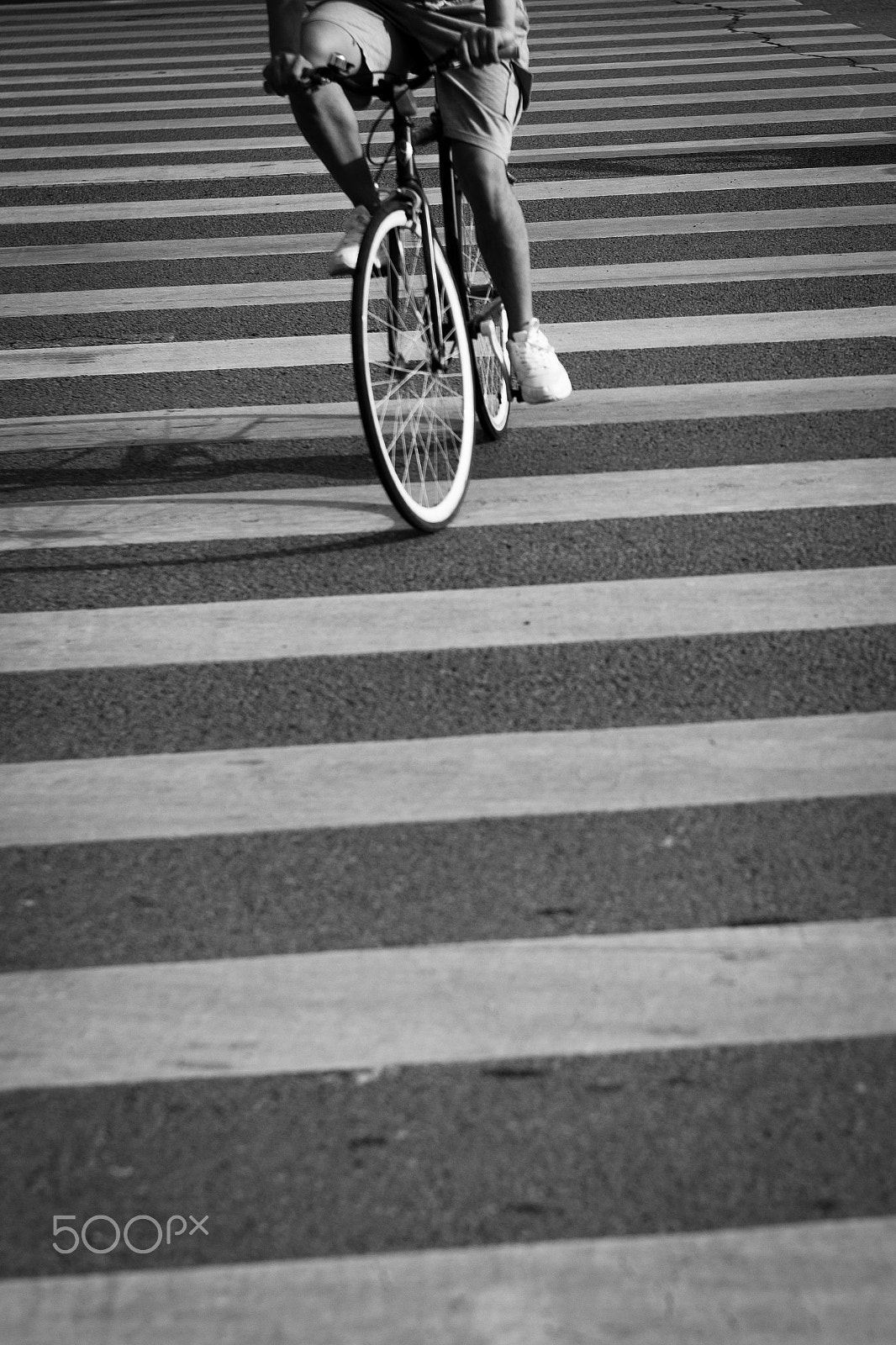Leica M9 + Noctilux-M 50mm f/1 sample photo. L1016136.jpg photography