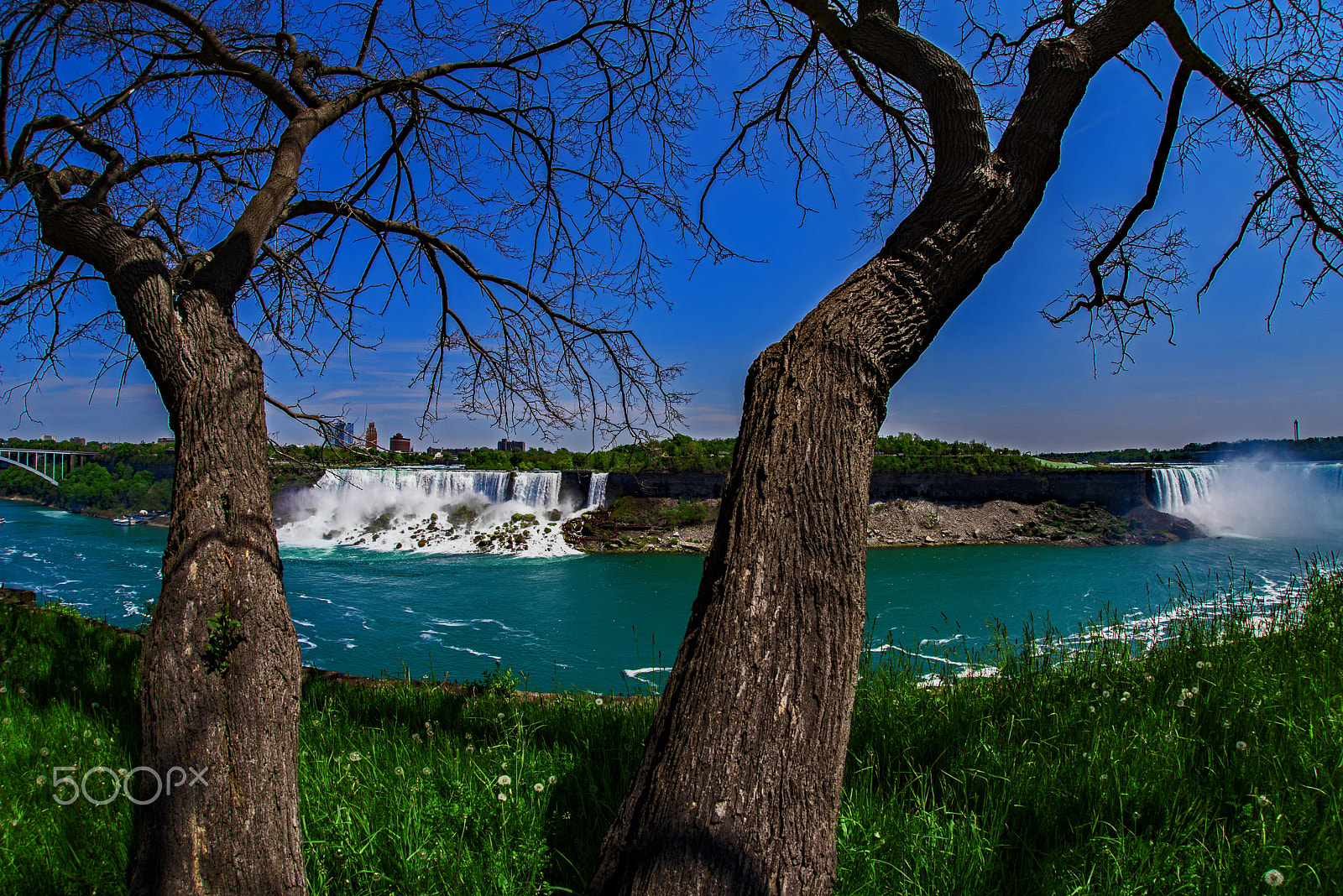 Nikon D750 + Sigma 15mm F2.8 EX DG Diagonal Fisheye sample photo. Niagara falls 2 photography