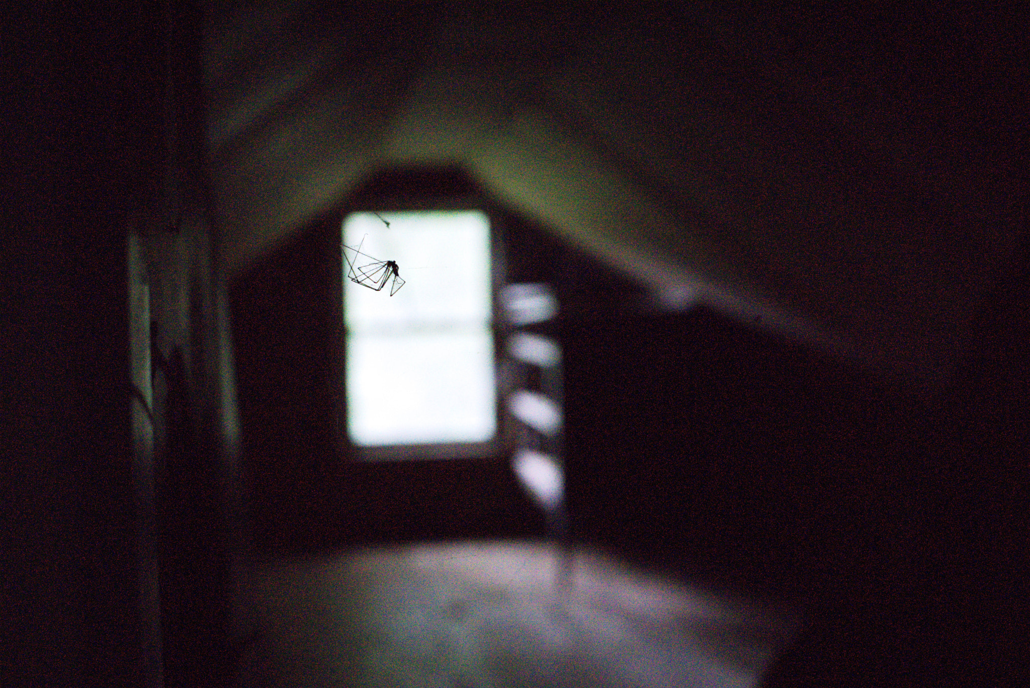 E 32mm F1.8 sample photo. Classic attic photography
