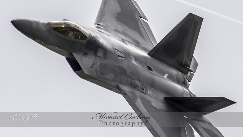 Canon EF 100-400mm F4.5-5.6L IS USM sample photo. Raptor photography