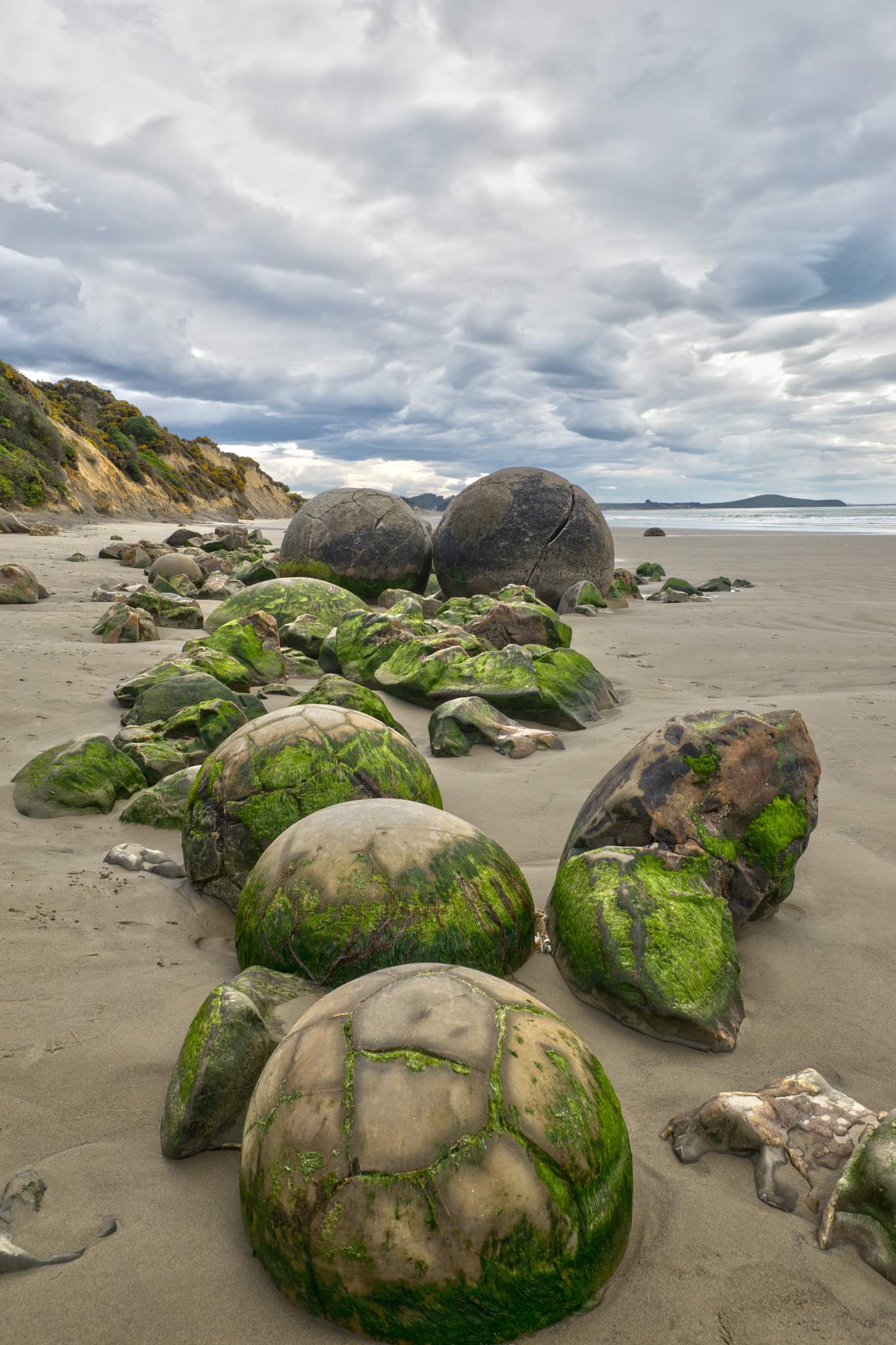 24-70mm F2.8-2.8 SSM sample photo. Moeraki boulders nz photography