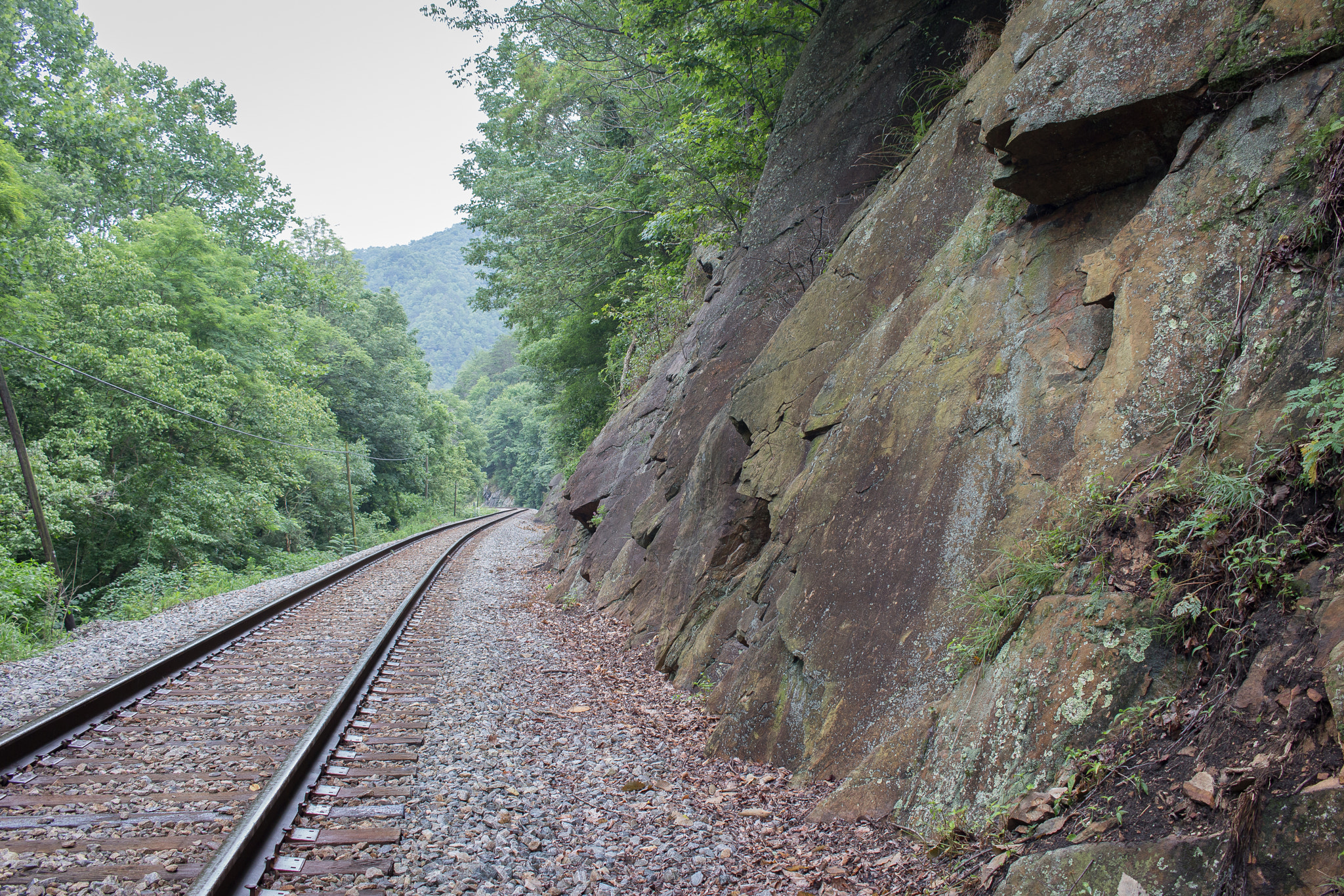 Canon EOS 100D (EOS Rebel SL1 / EOS Kiss X7) sample photo. Along the tracks | hot springs | north carolina photography