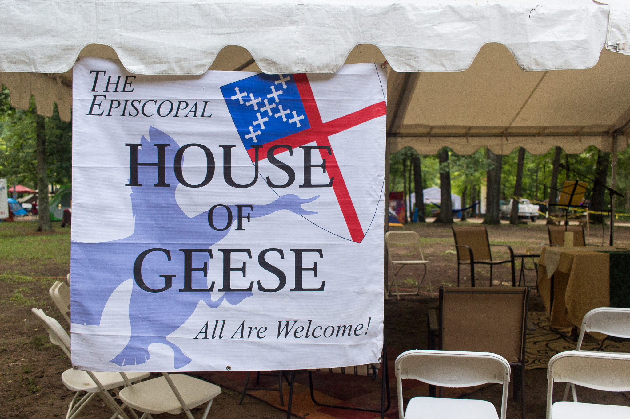 Canon EOS 100D (EOS Rebel SL1 / EOS Kiss X7) sample photo. House of geese | hot springs | north carolina photography