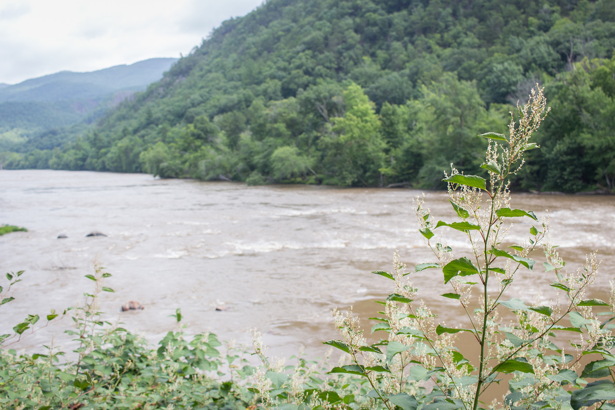 Canon EOS 100D (EOS Rebel SL1 / EOS Kiss X7) sample photo. By the water | hot springs | north carolina photography